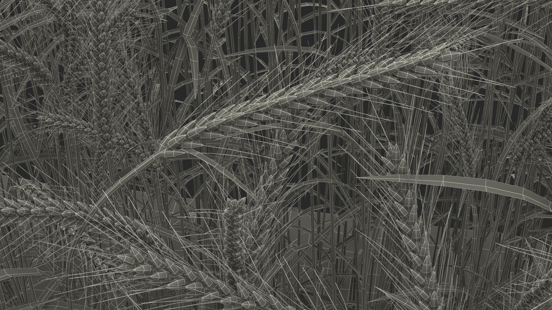 Section of Wheat Field 3D