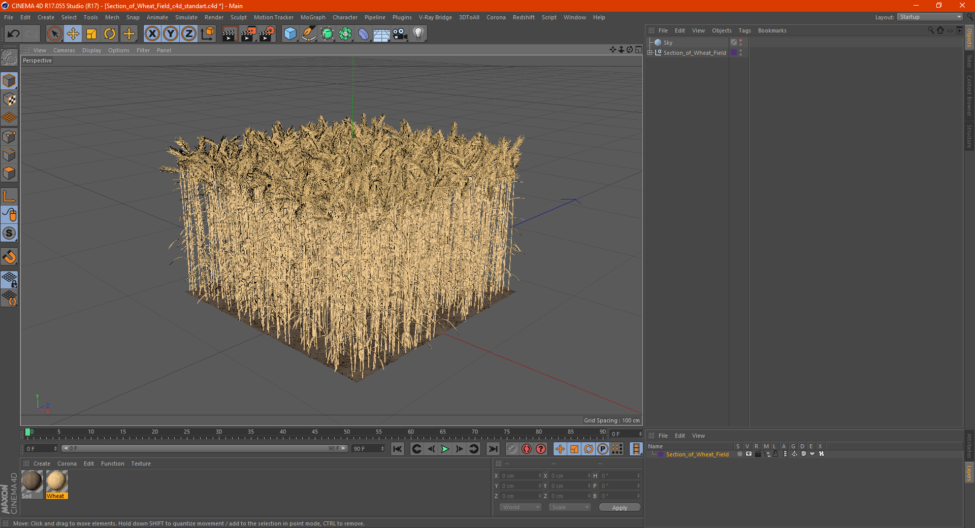 Section of Wheat Field 3D