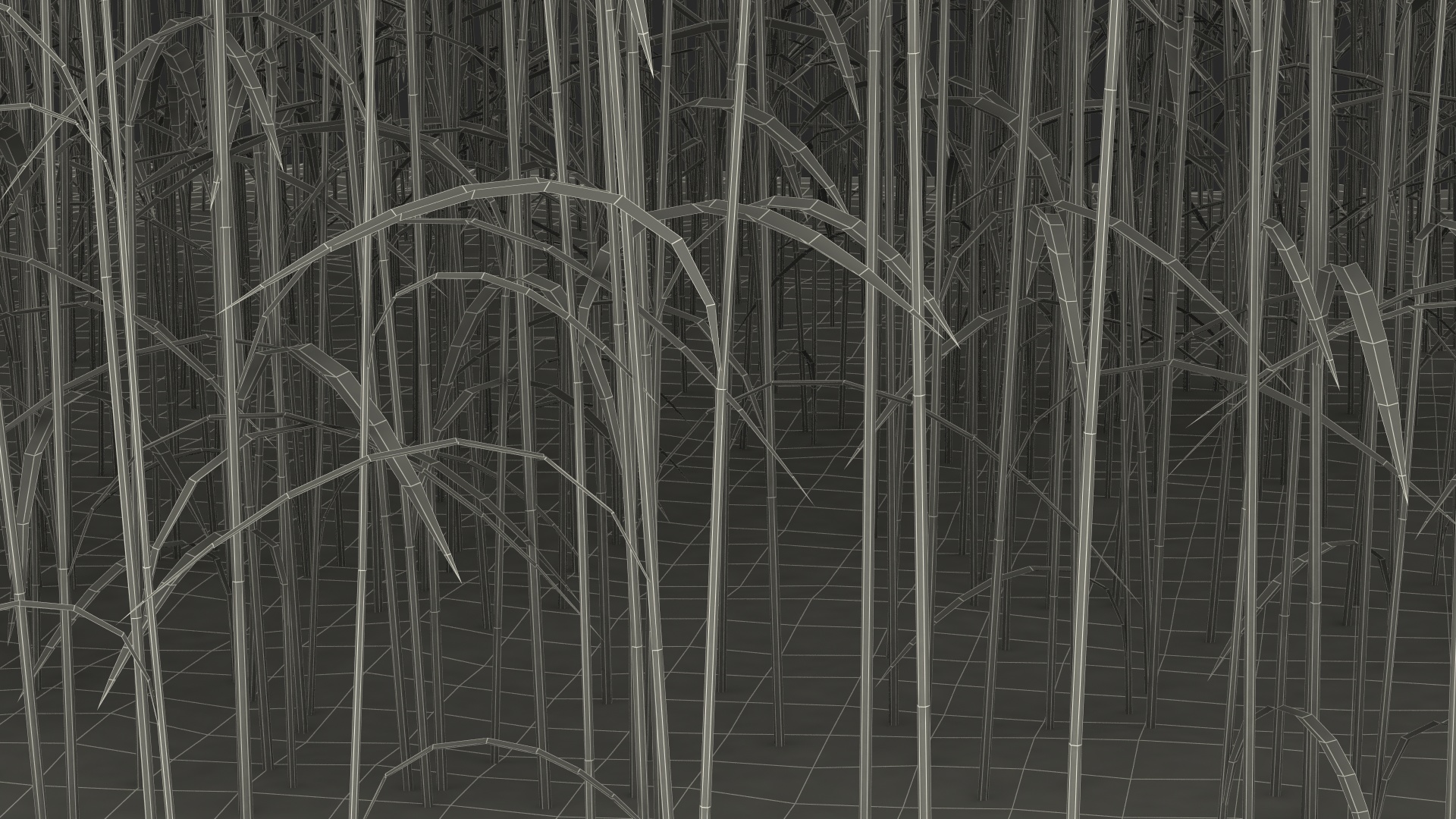 Section of Wheat Field 3D