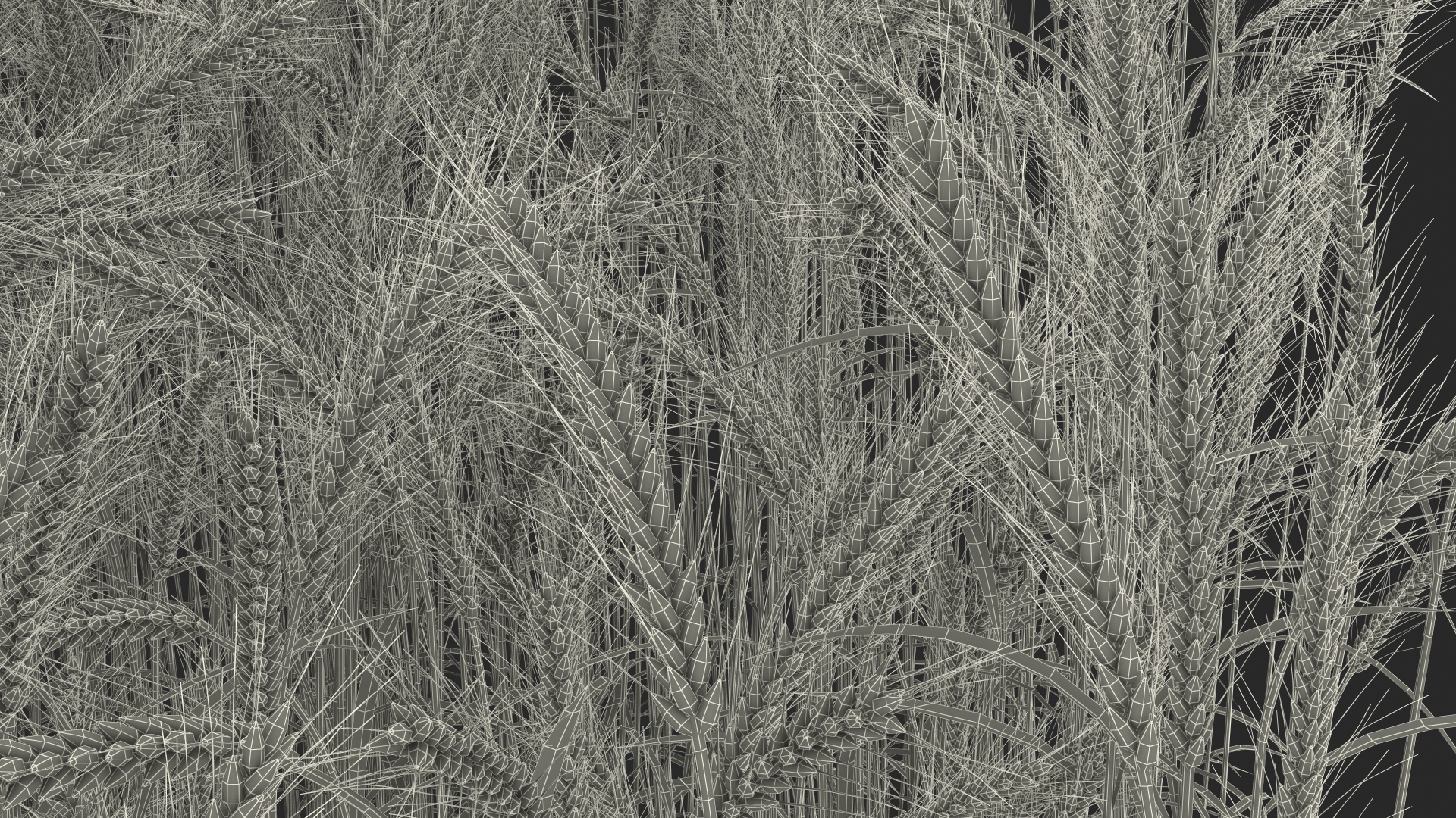 Section of Wheat Field 3D