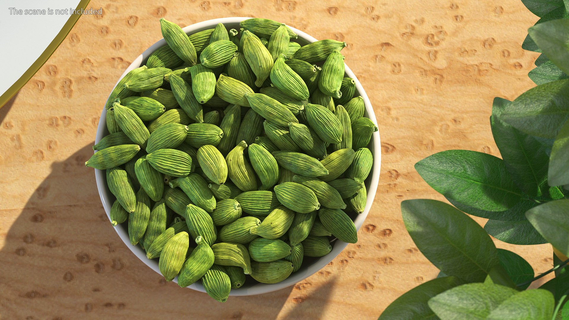 Dried Green Cardamom Fruit Plate 3D
