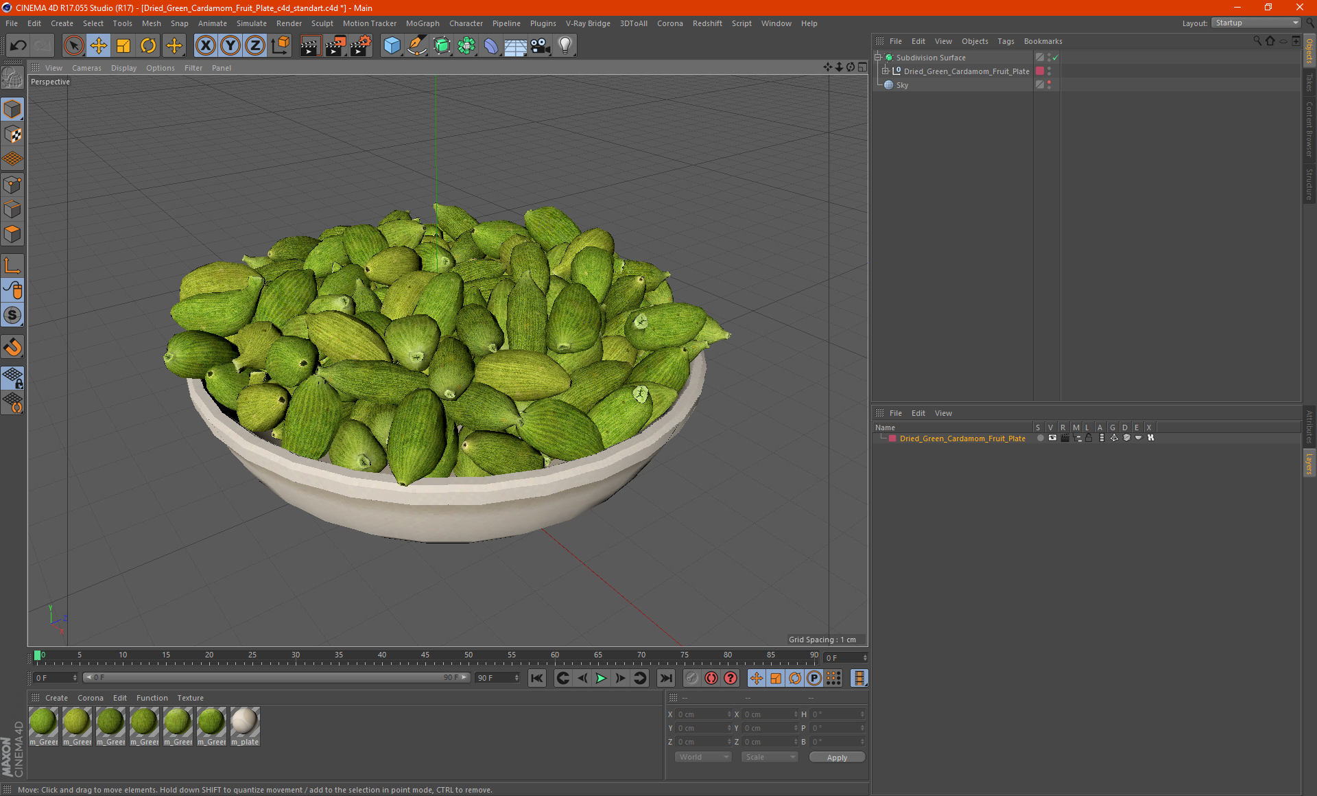 Dried Green Cardamom Fruit Plate 3D