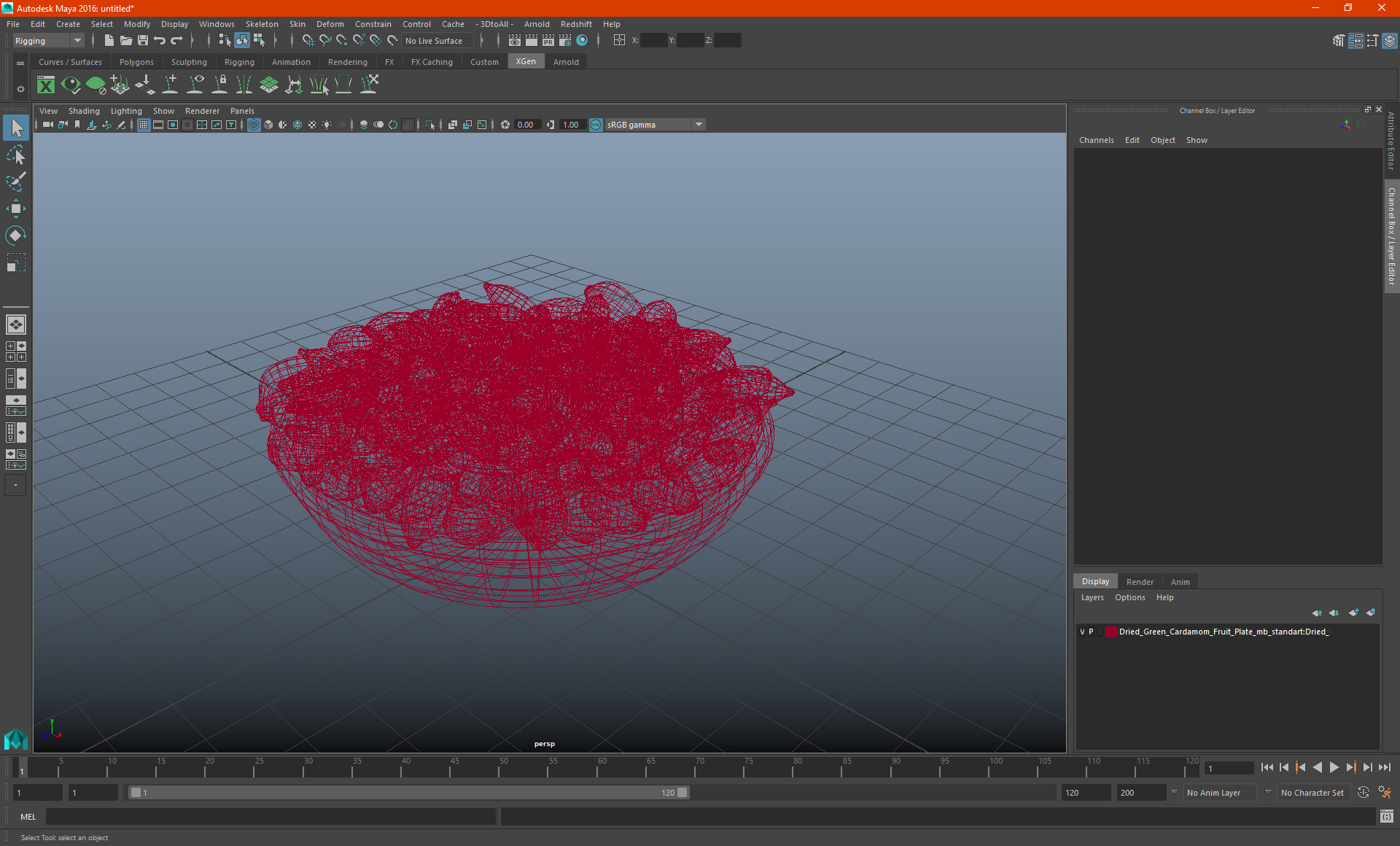 Dried Green Cardamom Fruit Plate 3D