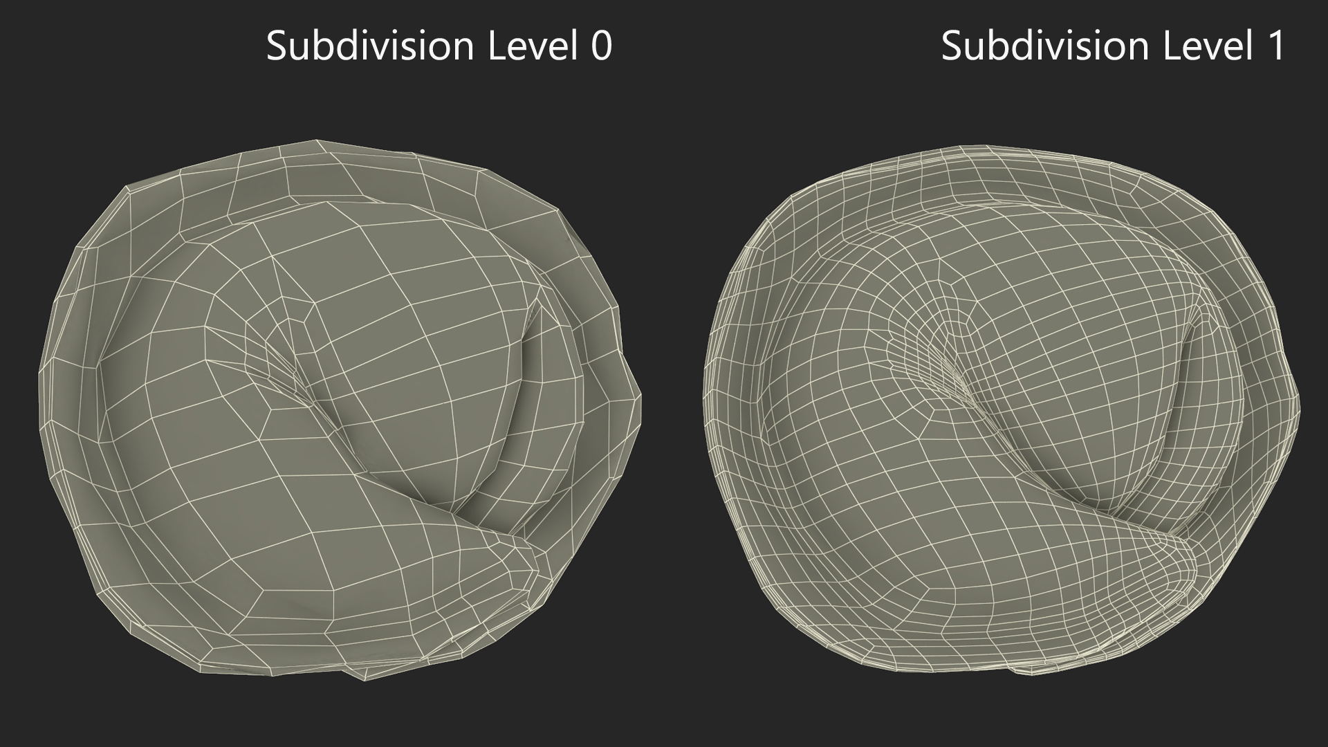 3D model Pelmeni Dumpling Raw