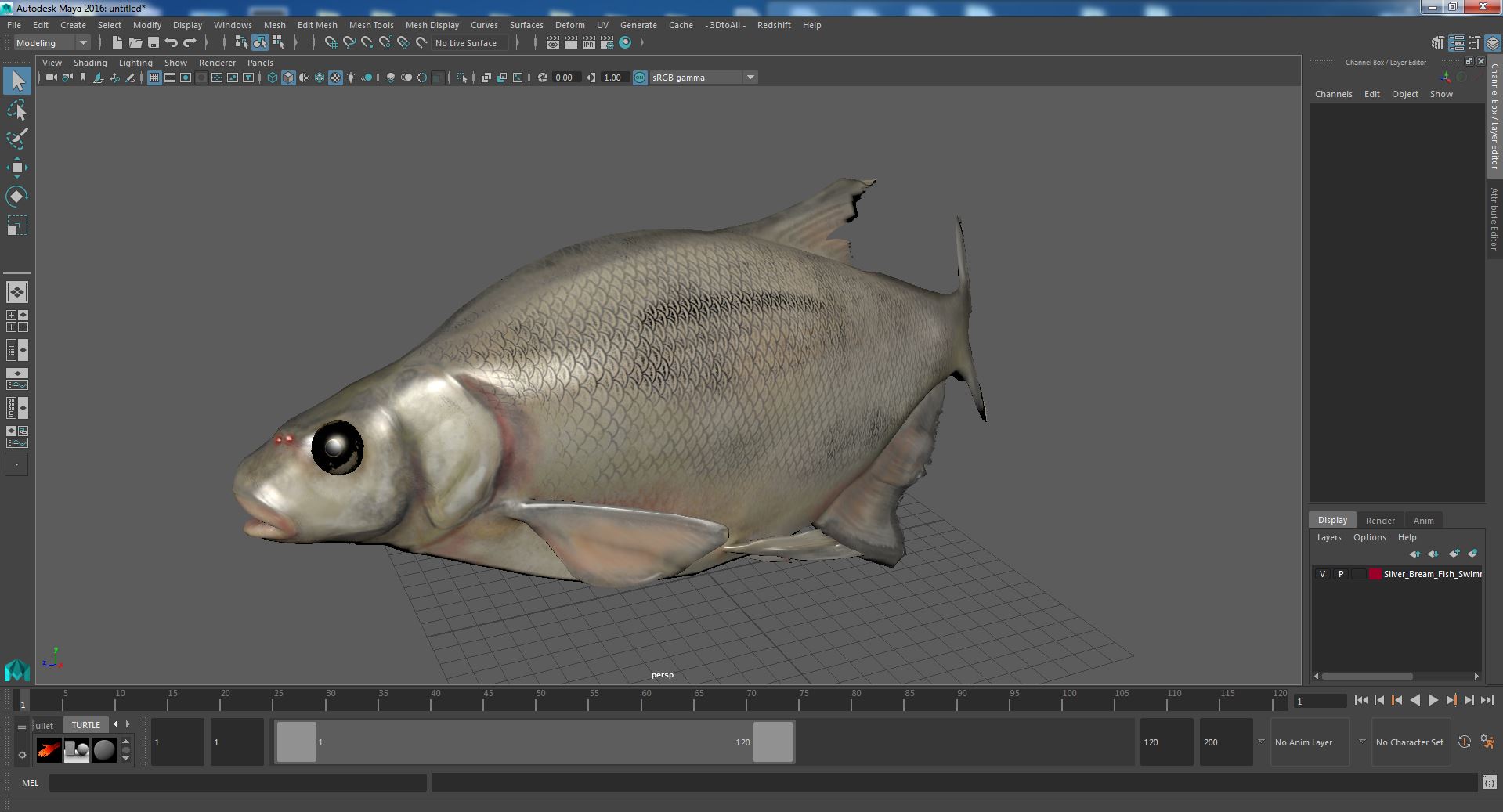 3D Silver Bream Fish Swimming