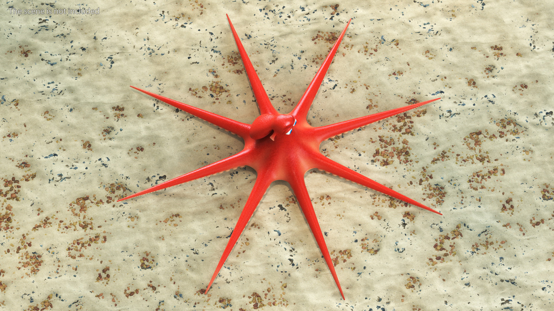 3D model Cartoon Character Octopus