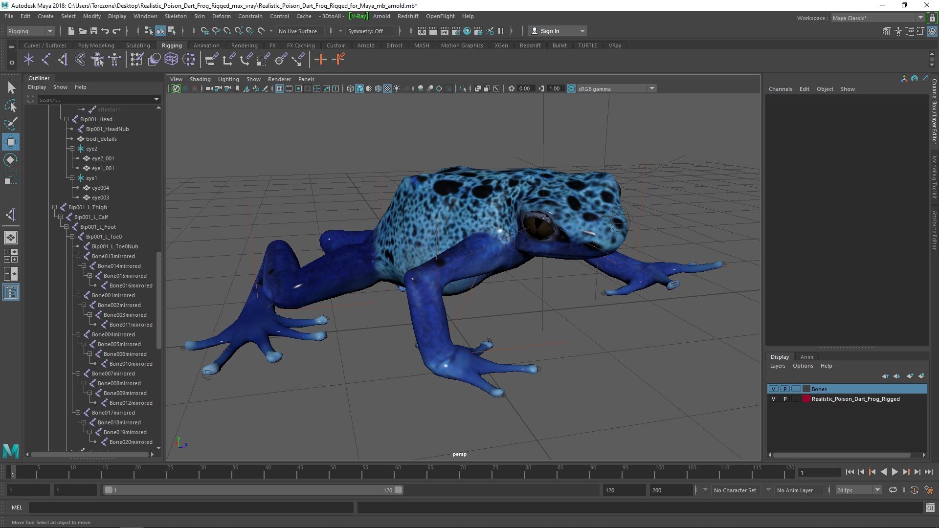 Realistic Poison Dart Frog Rigged for Maya 3D