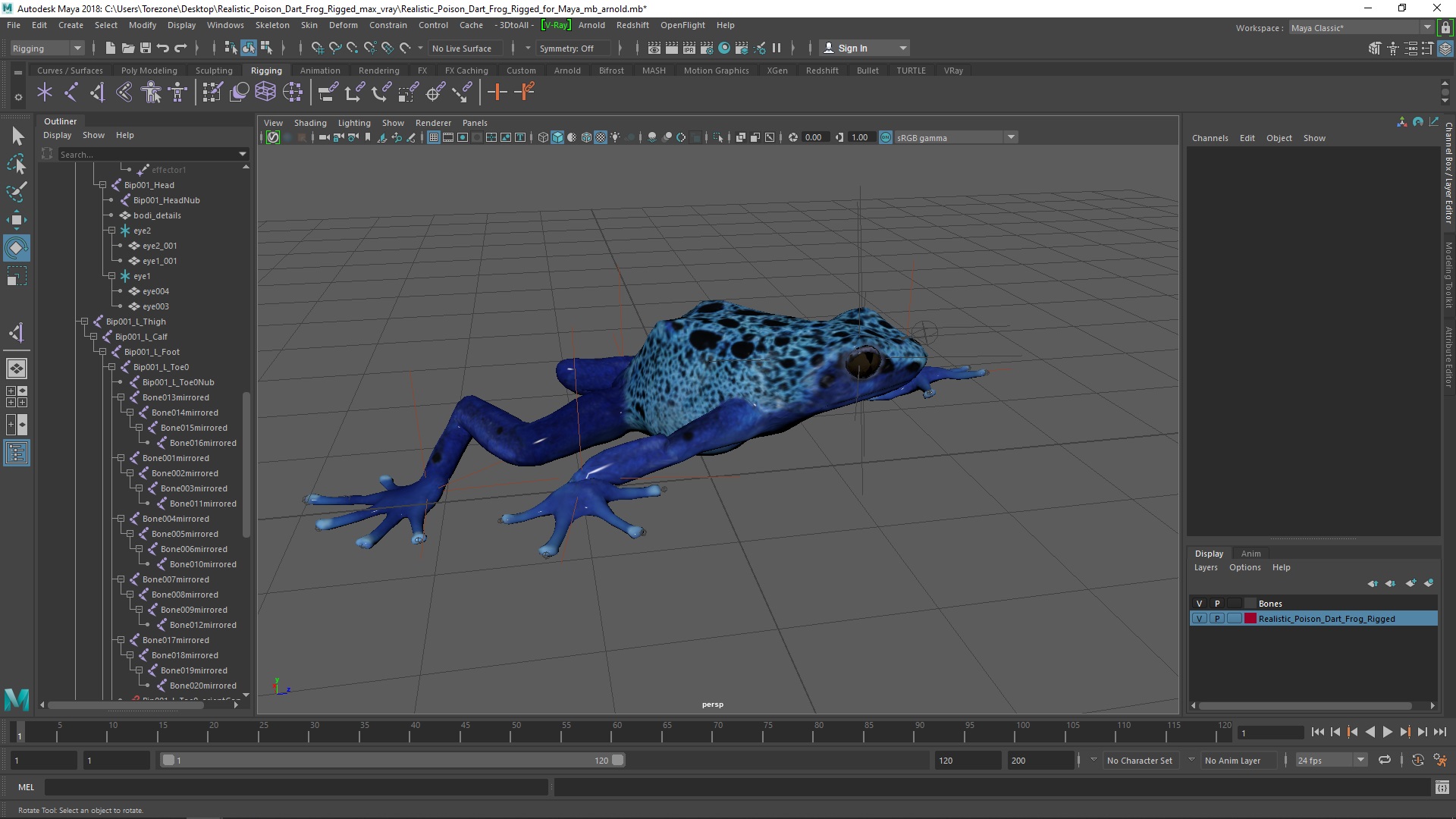 Realistic Poison Dart Frog Rigged for Maya 3D