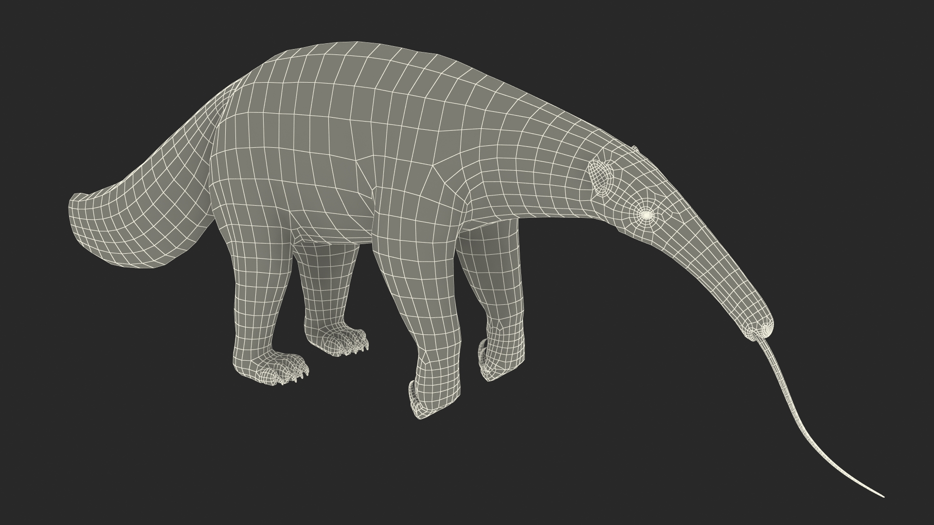 3D Anteater Standing Pose Fur