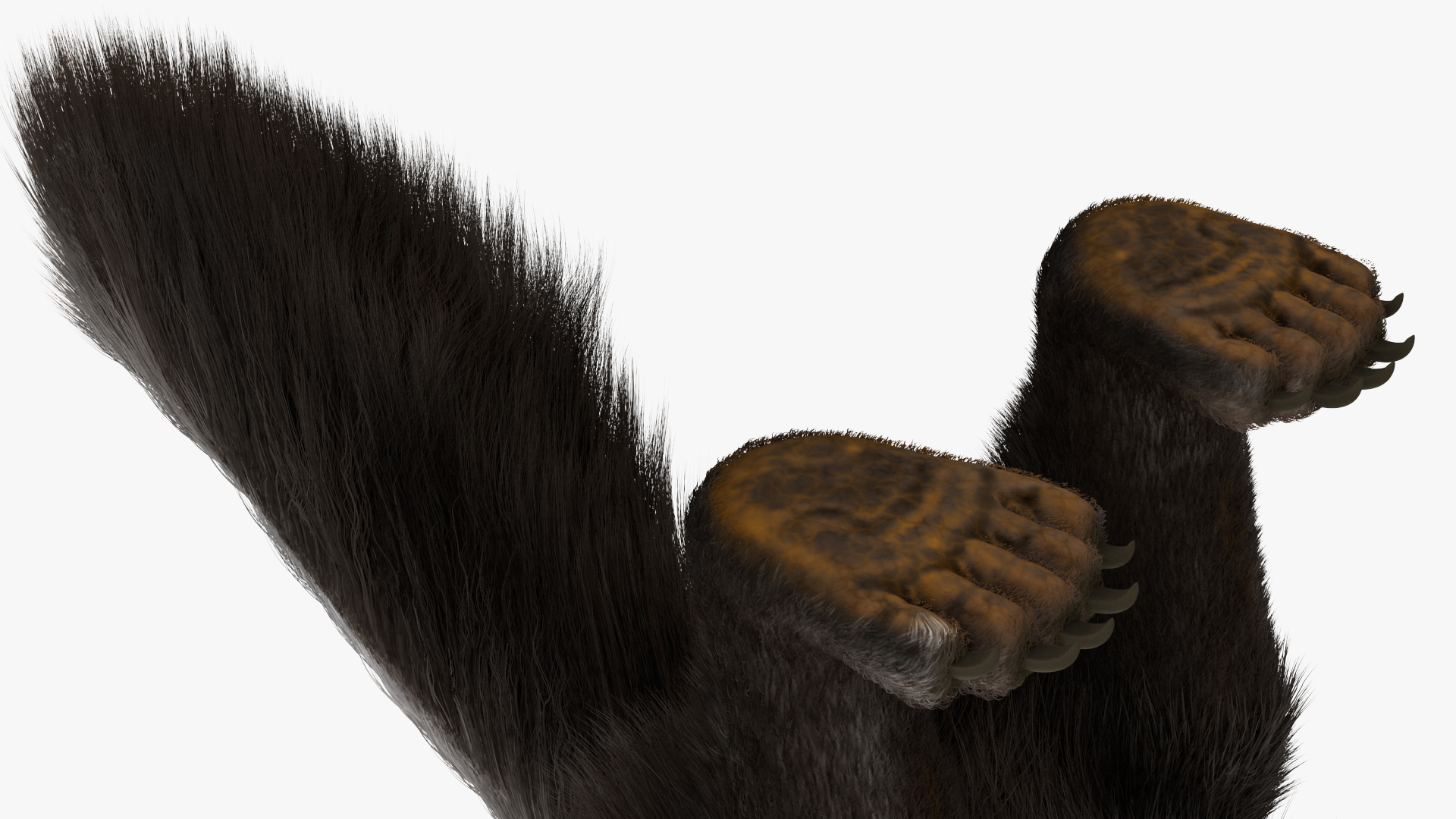 3D Anteater Standing Pose Fur