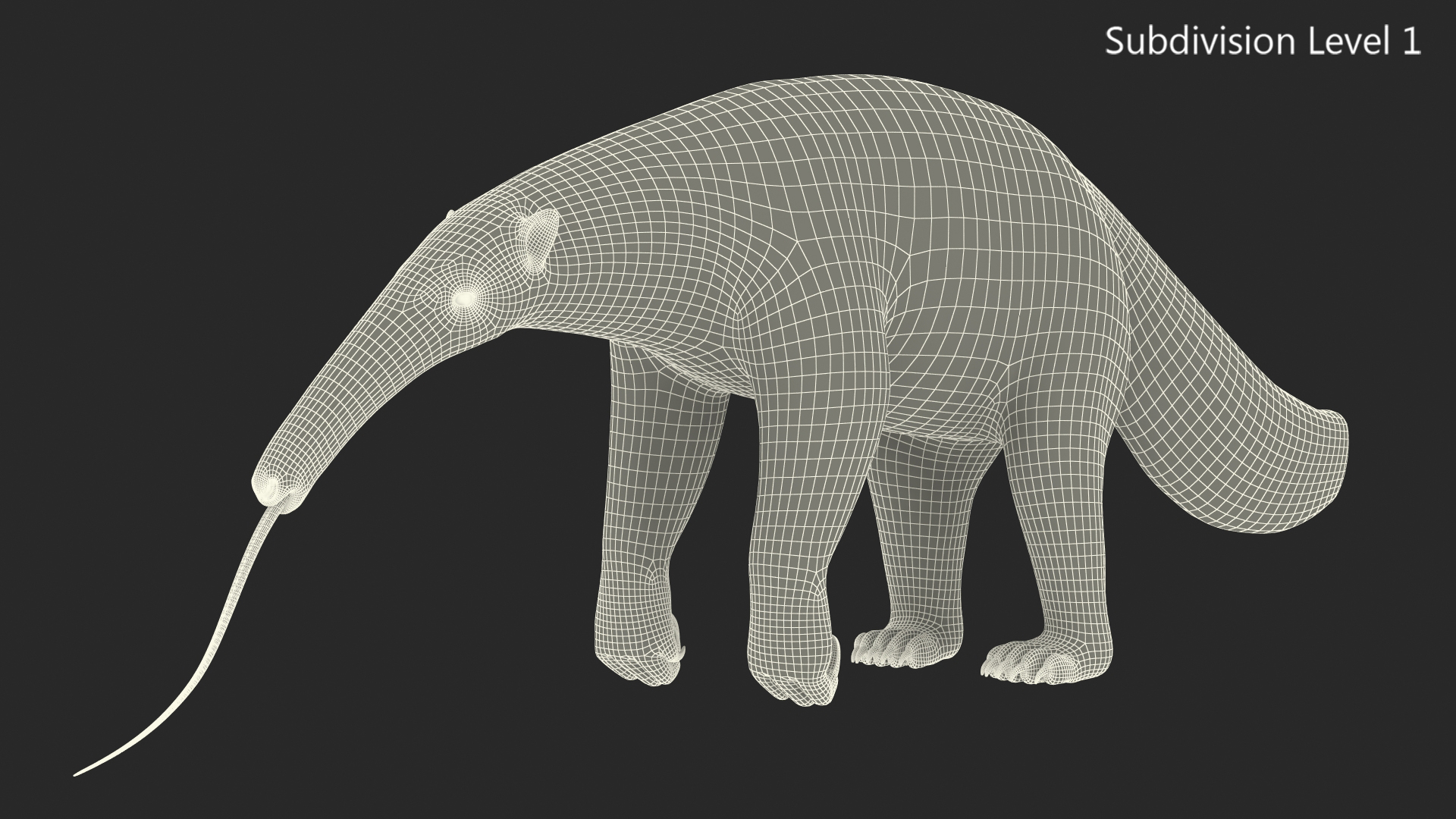3D Anteater Standing Pose Fur