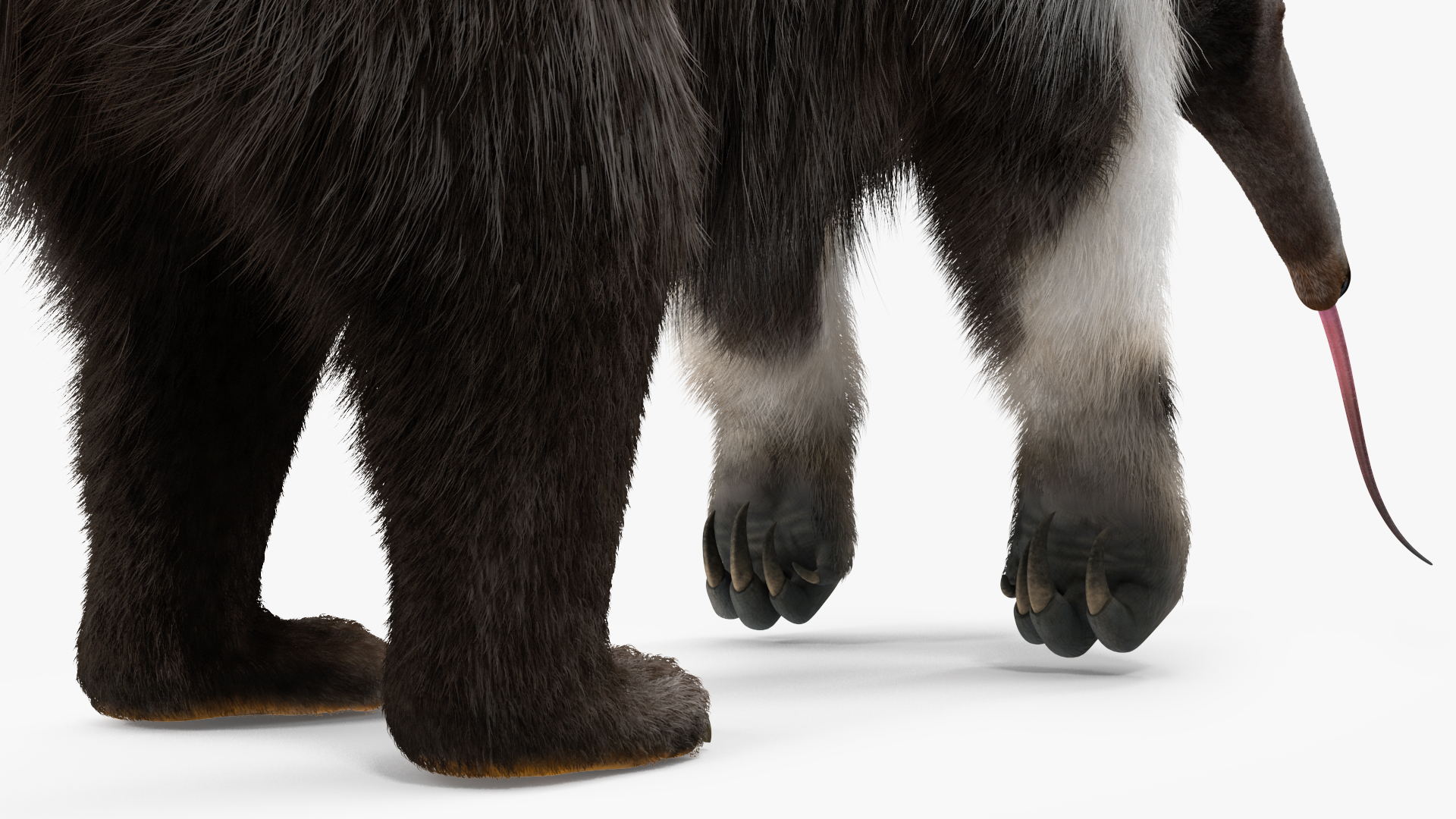 3D Anteater Standing Pose Fur
