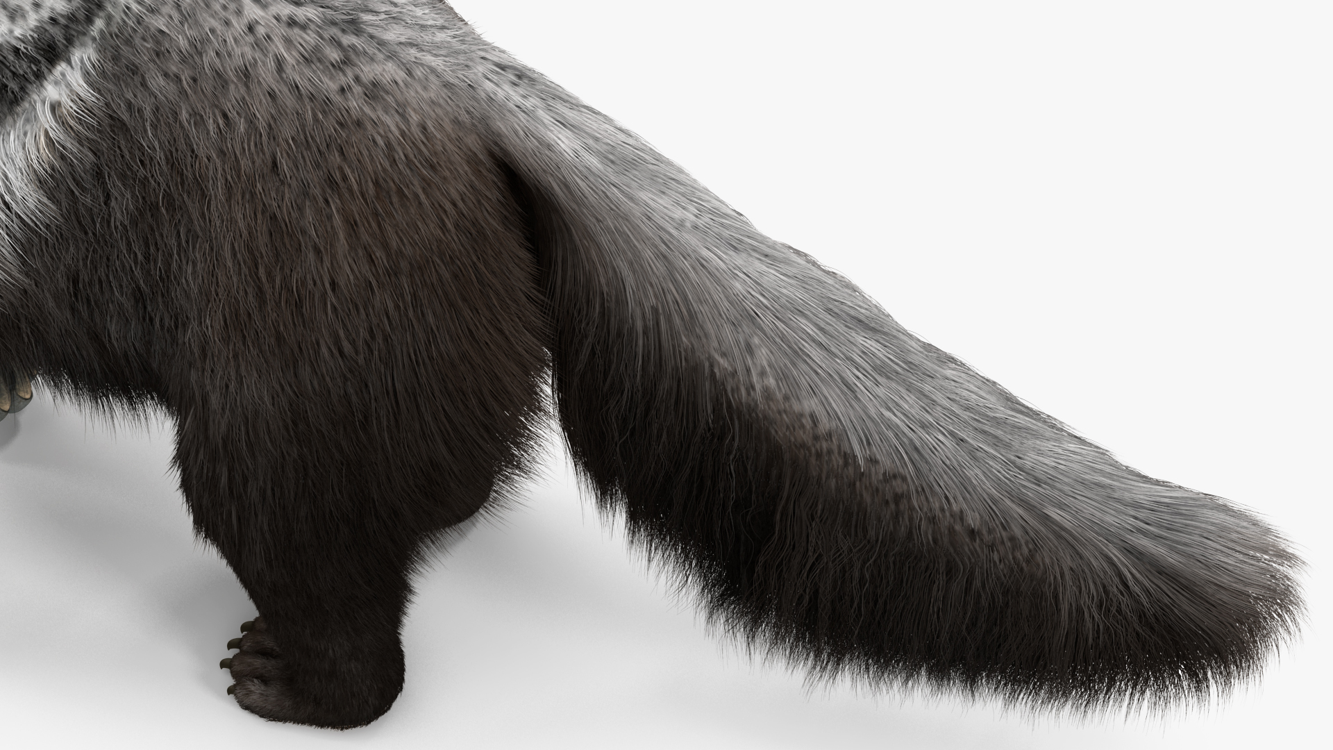 3D Anteater Standing Pose Fur