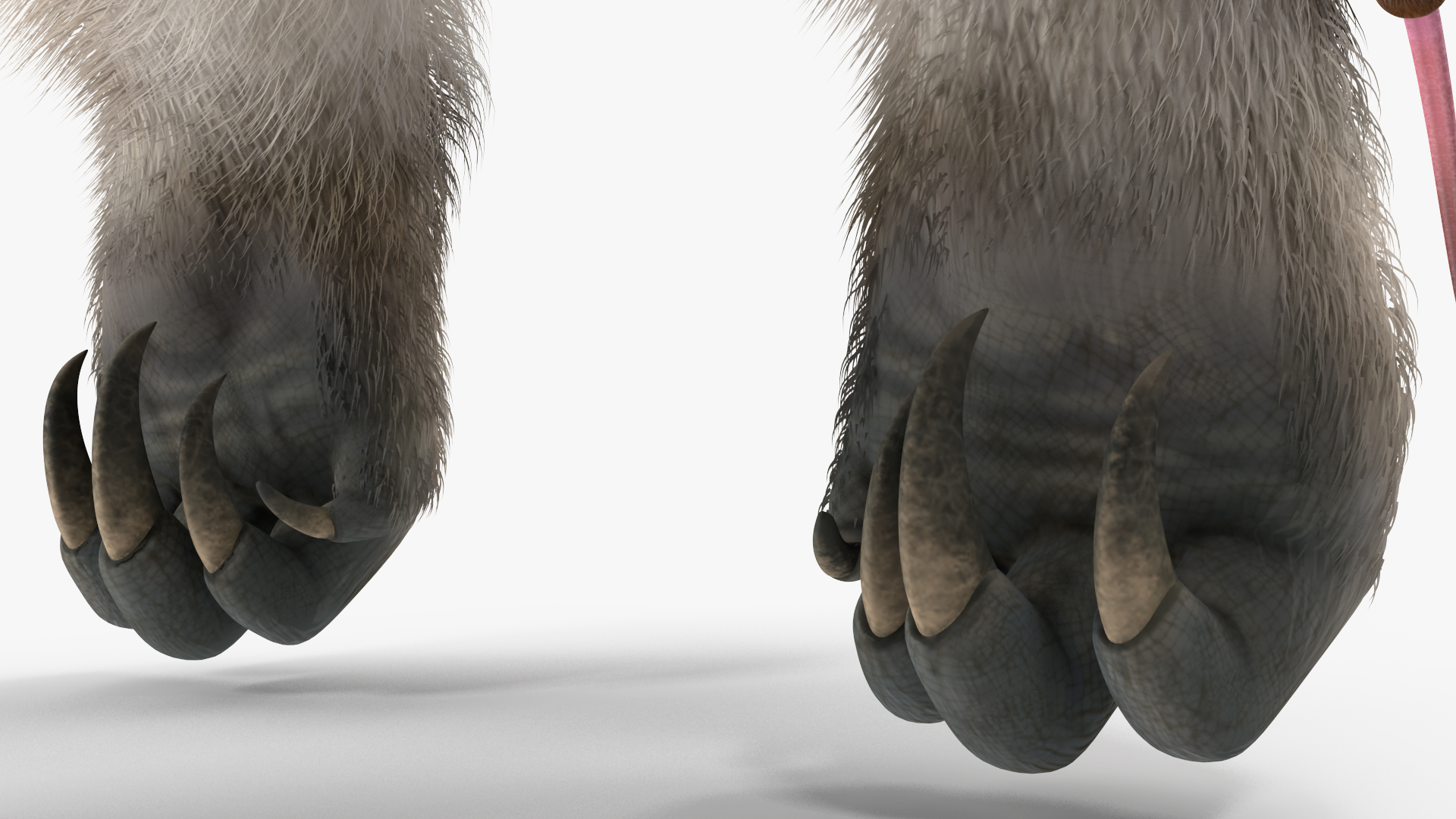 3D Anteater Standing Pose Fur