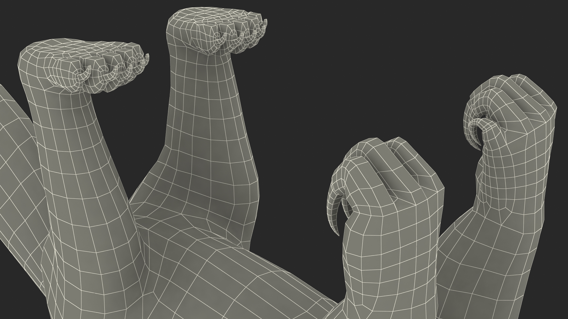 3D Anteater Standing Pose Fur