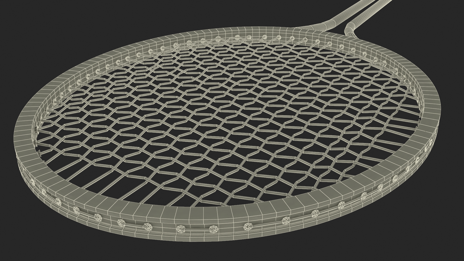 3D Badminton Racket