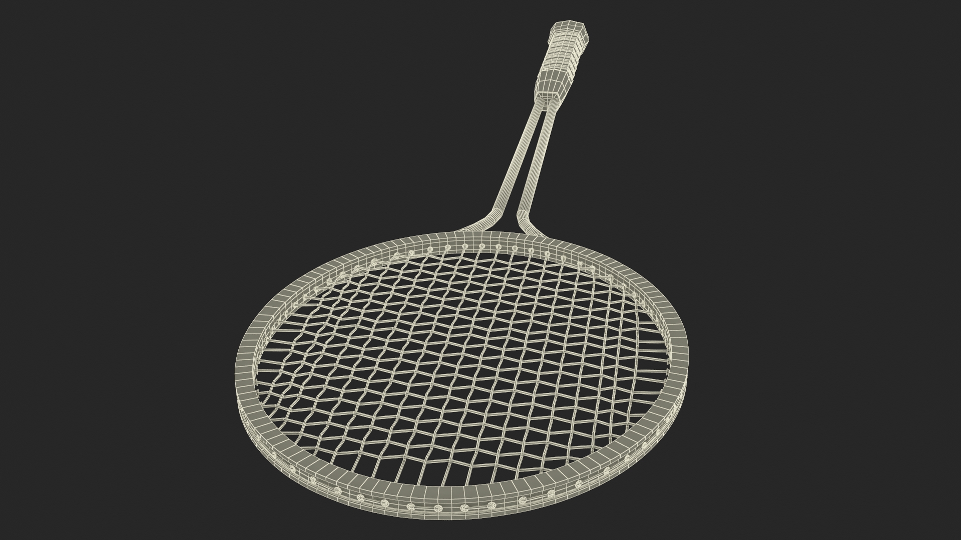 3D Badminton Racket