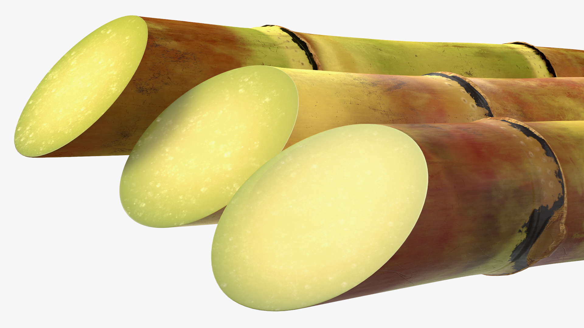 3D Sugarcane Sticks