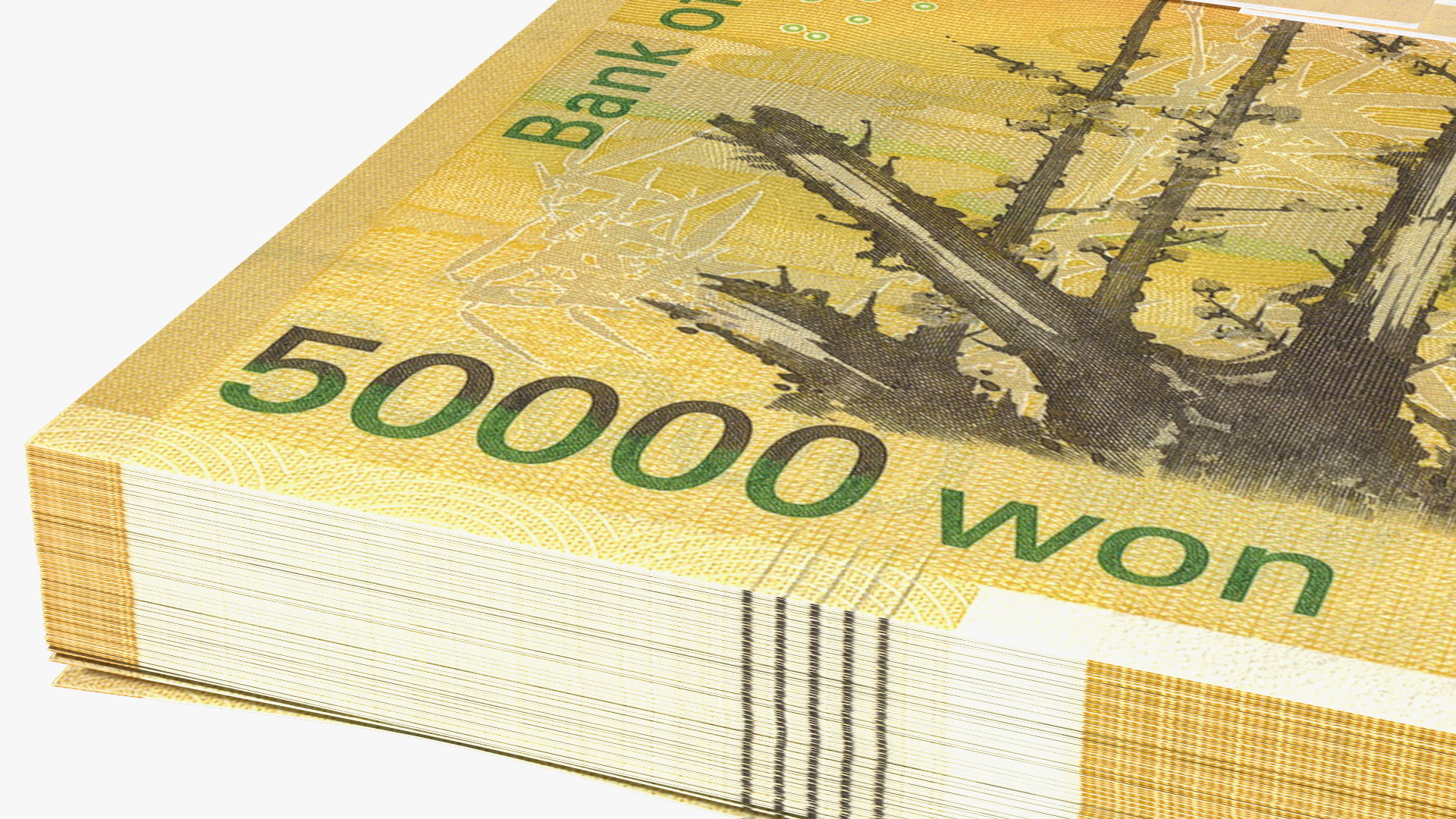 3D South Korean 50000 Won Banknote Bundle model