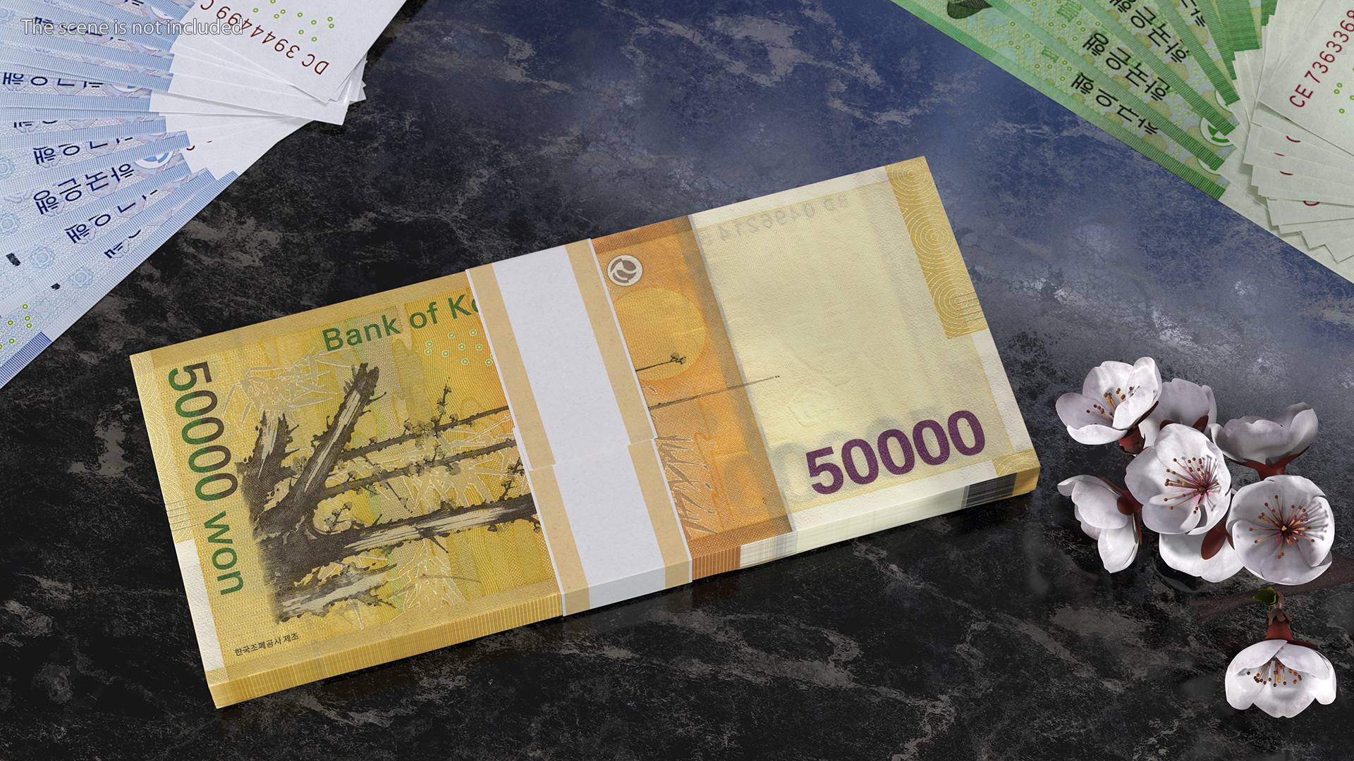 3D South Korean 50000 Won Banknote Bundle model
