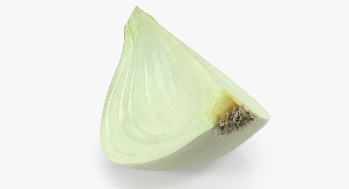 Onion Quater 3D