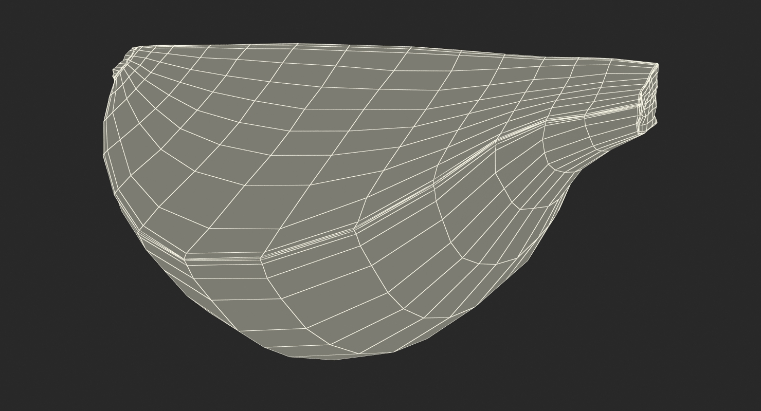Onion Quater 3D