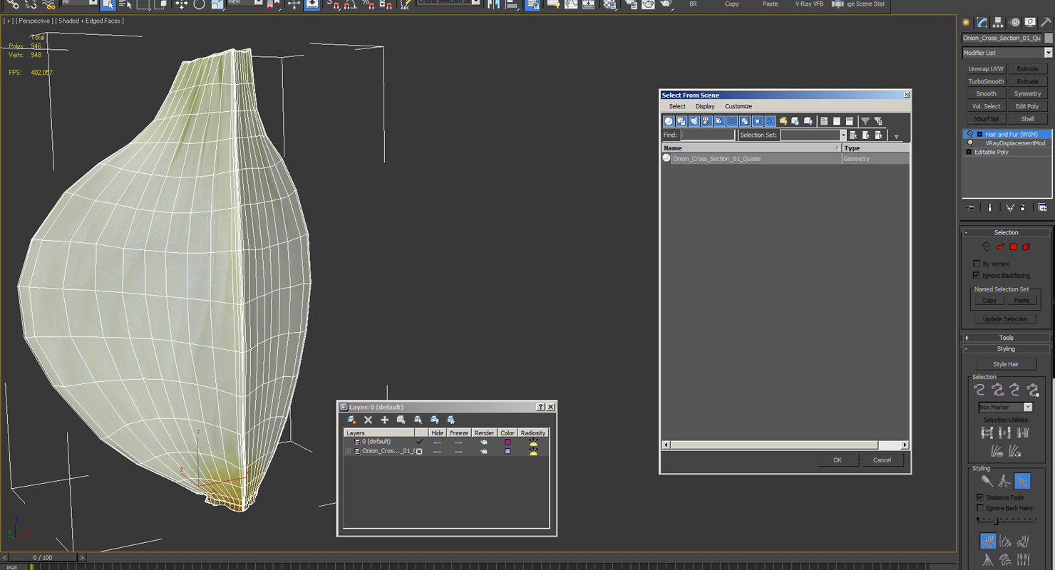 Onion Quater 3D