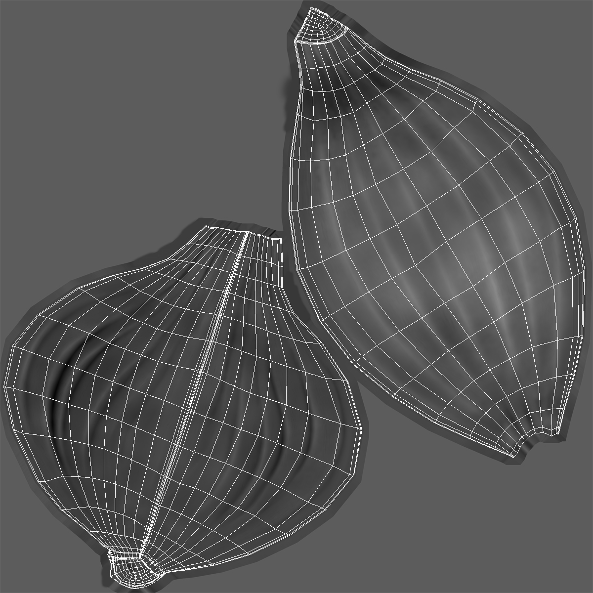 Onion Quater 3D