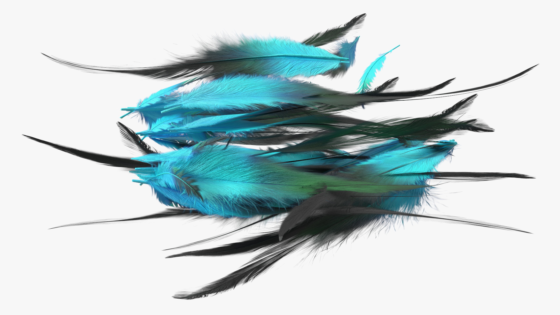 3D Blue Feathers model