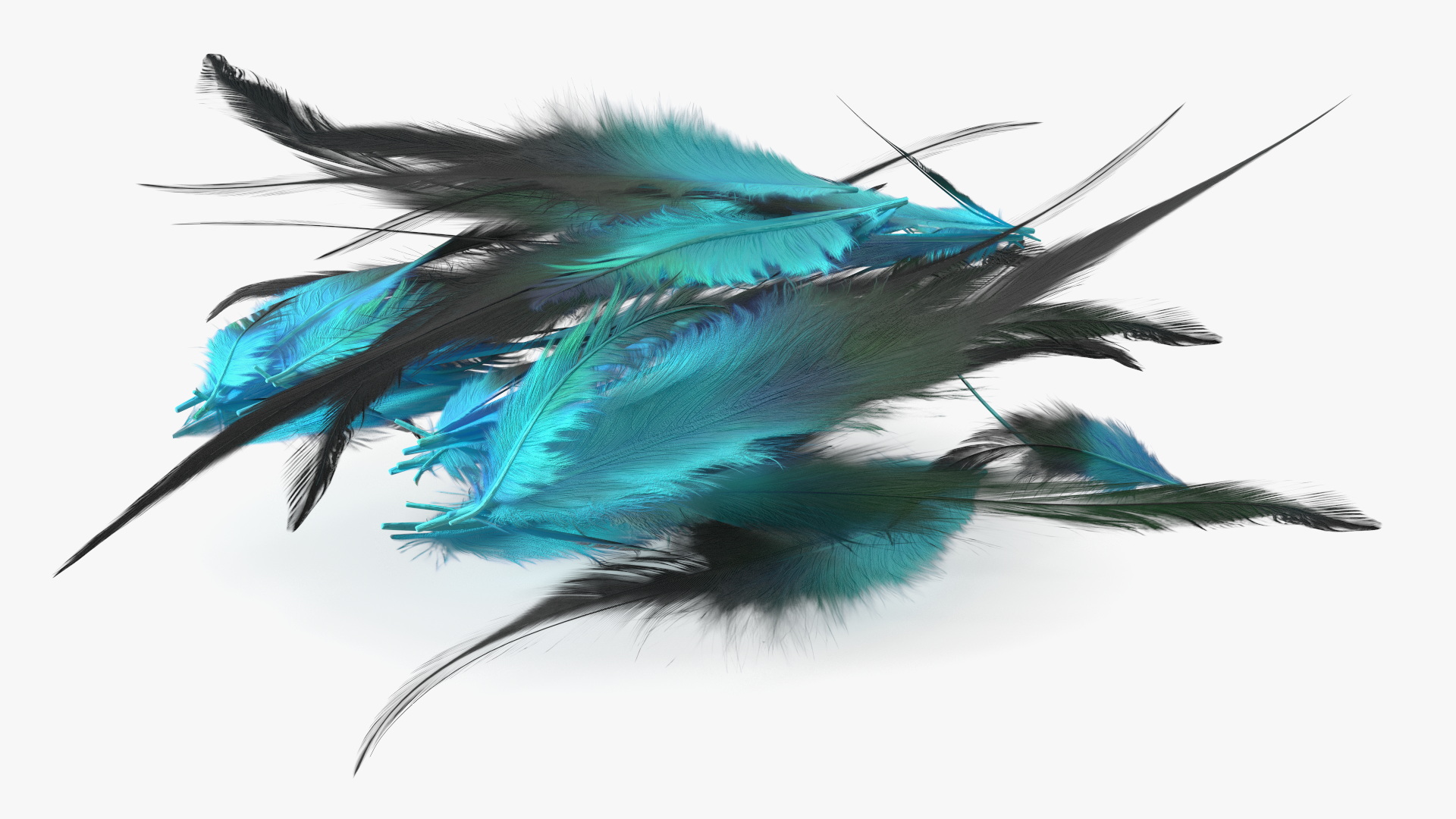 3D Blue Feathers model