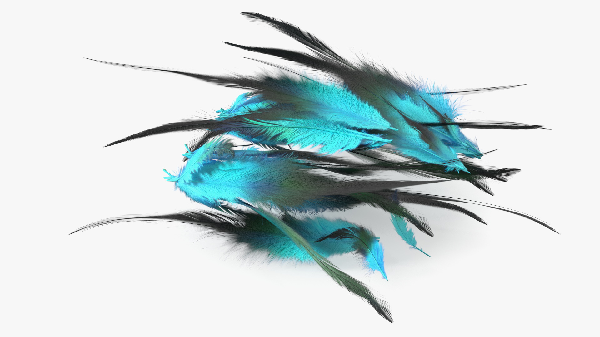 3D Blue Feathers model