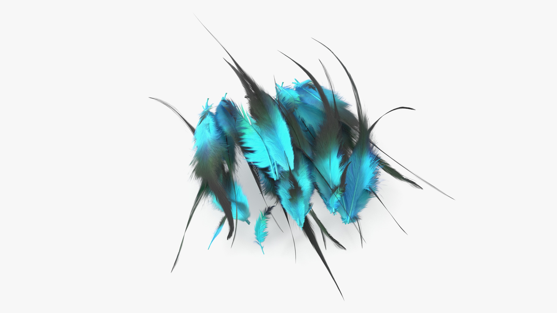 3D Blue Feathers model