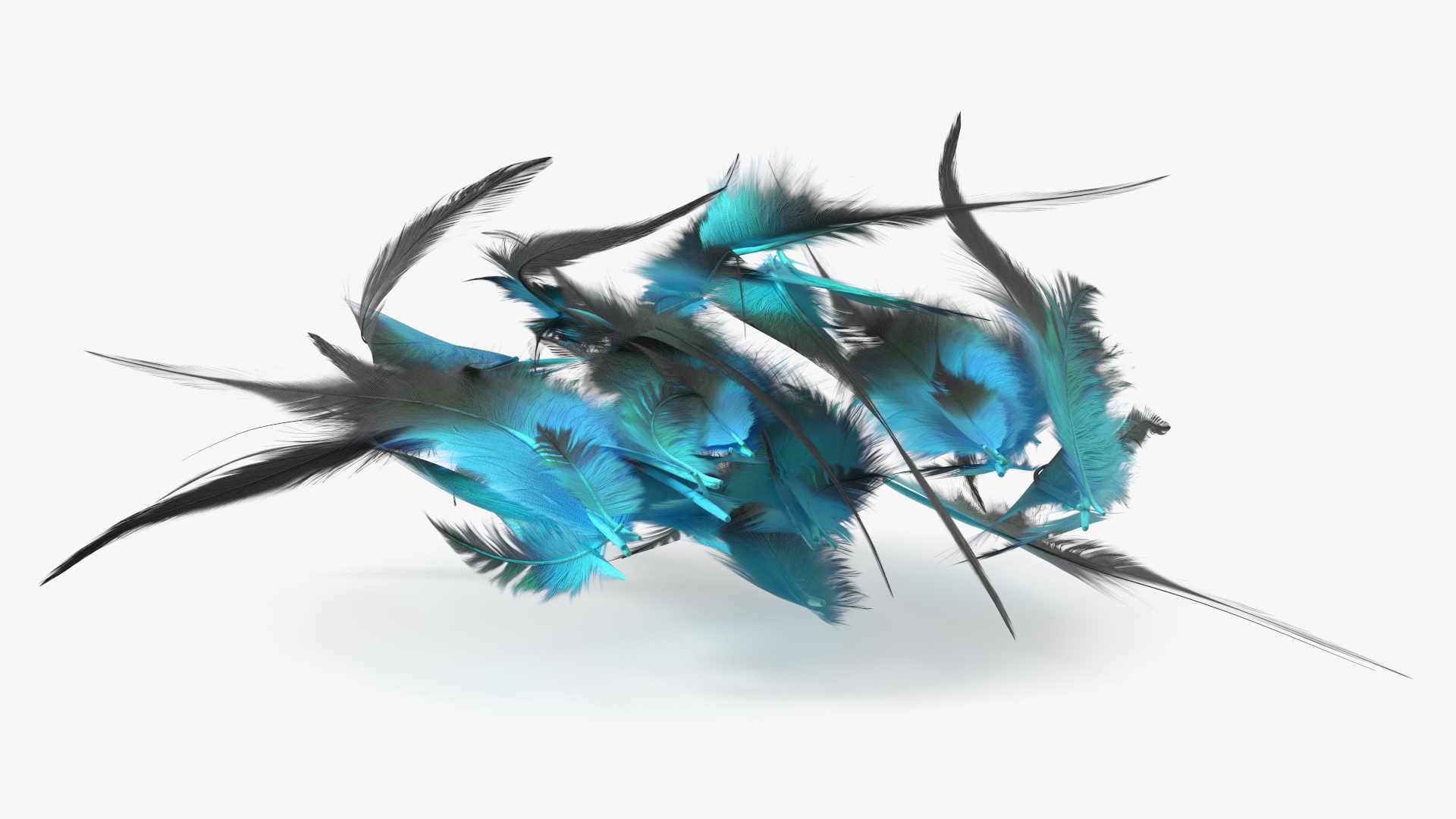 3D Blue Feathers model