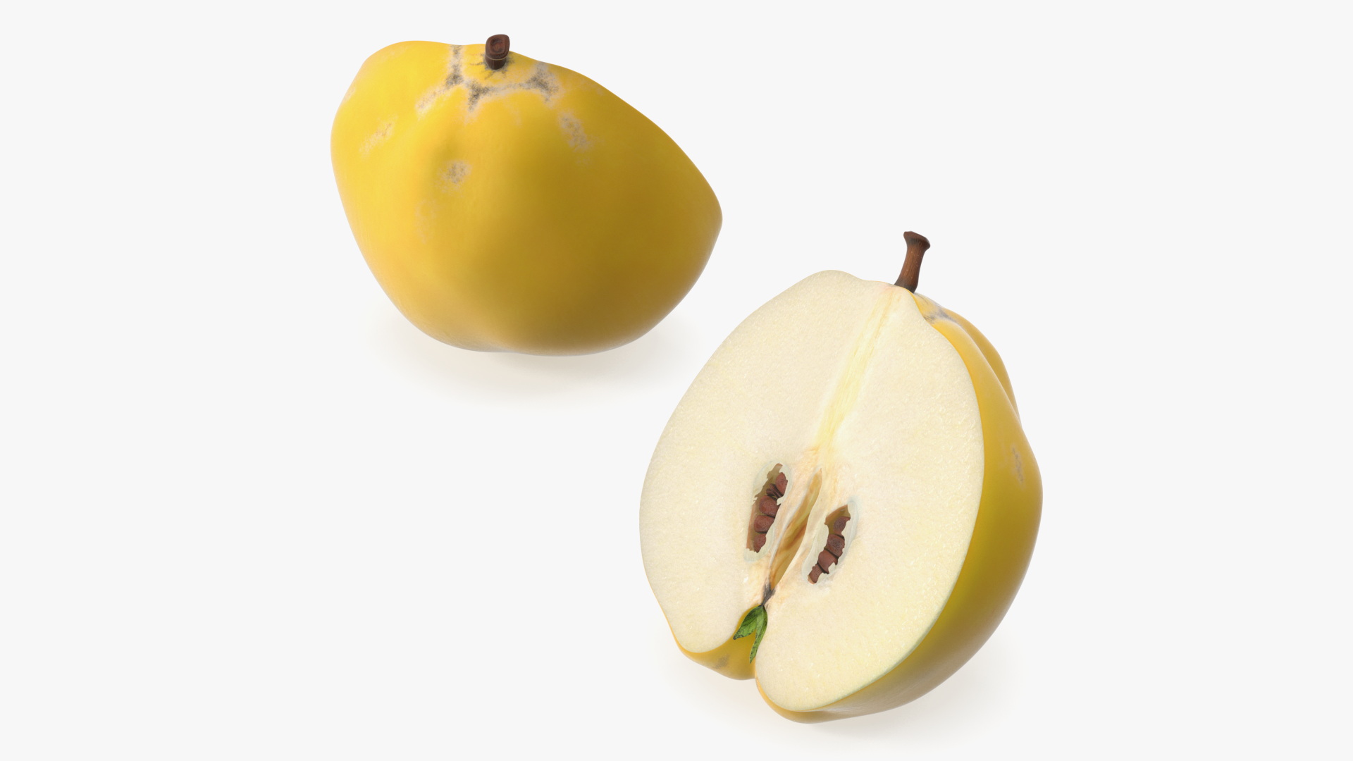 3D Half Quince
