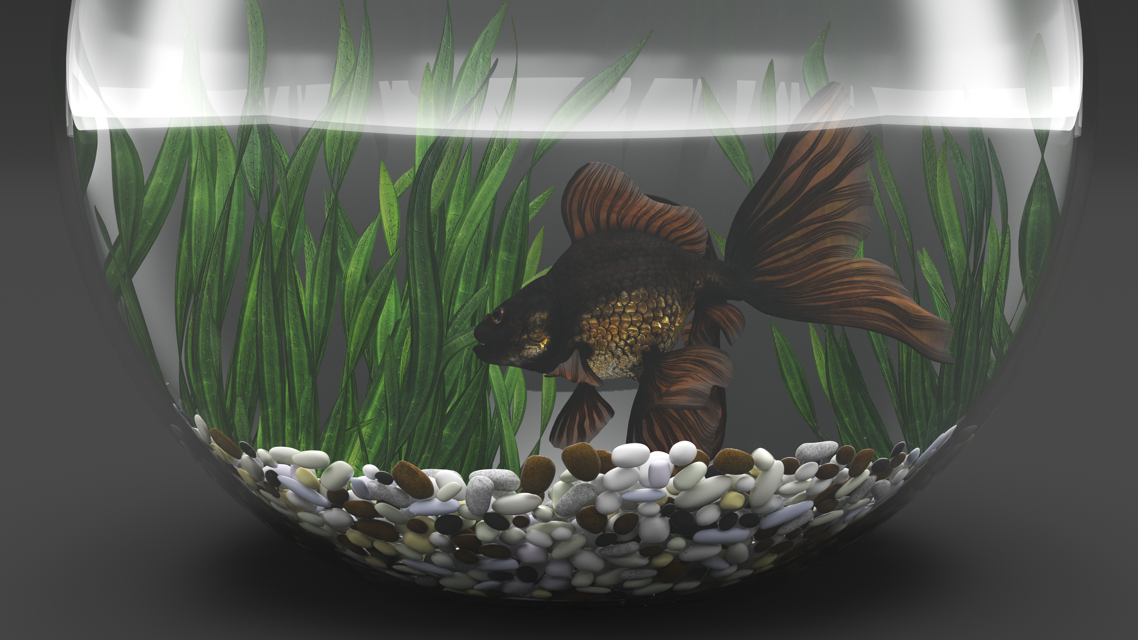 Round Aquarium with Black Moor Goldfish, view 8