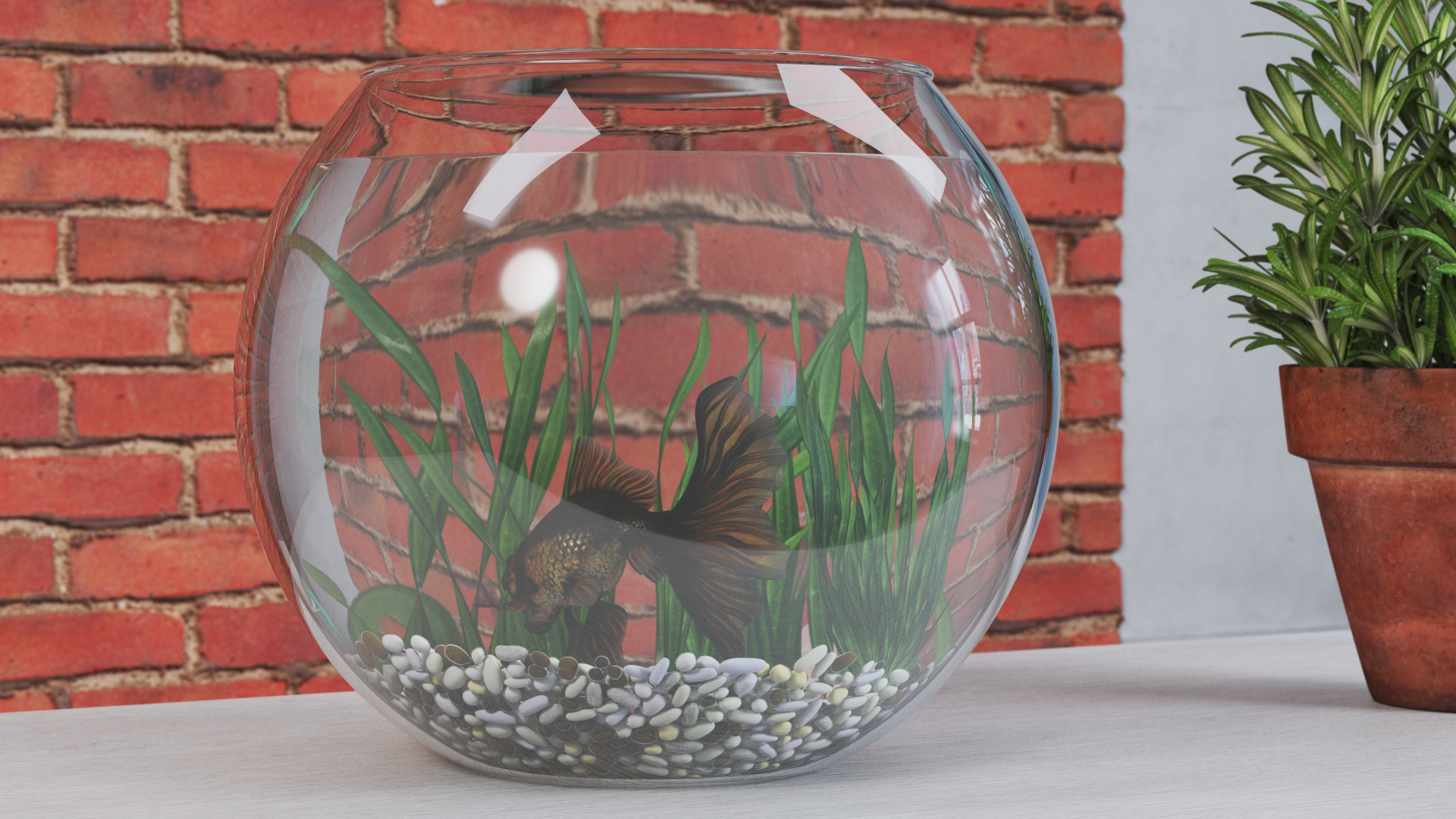Round Aquarium with Black Moor Goldfish, view 9