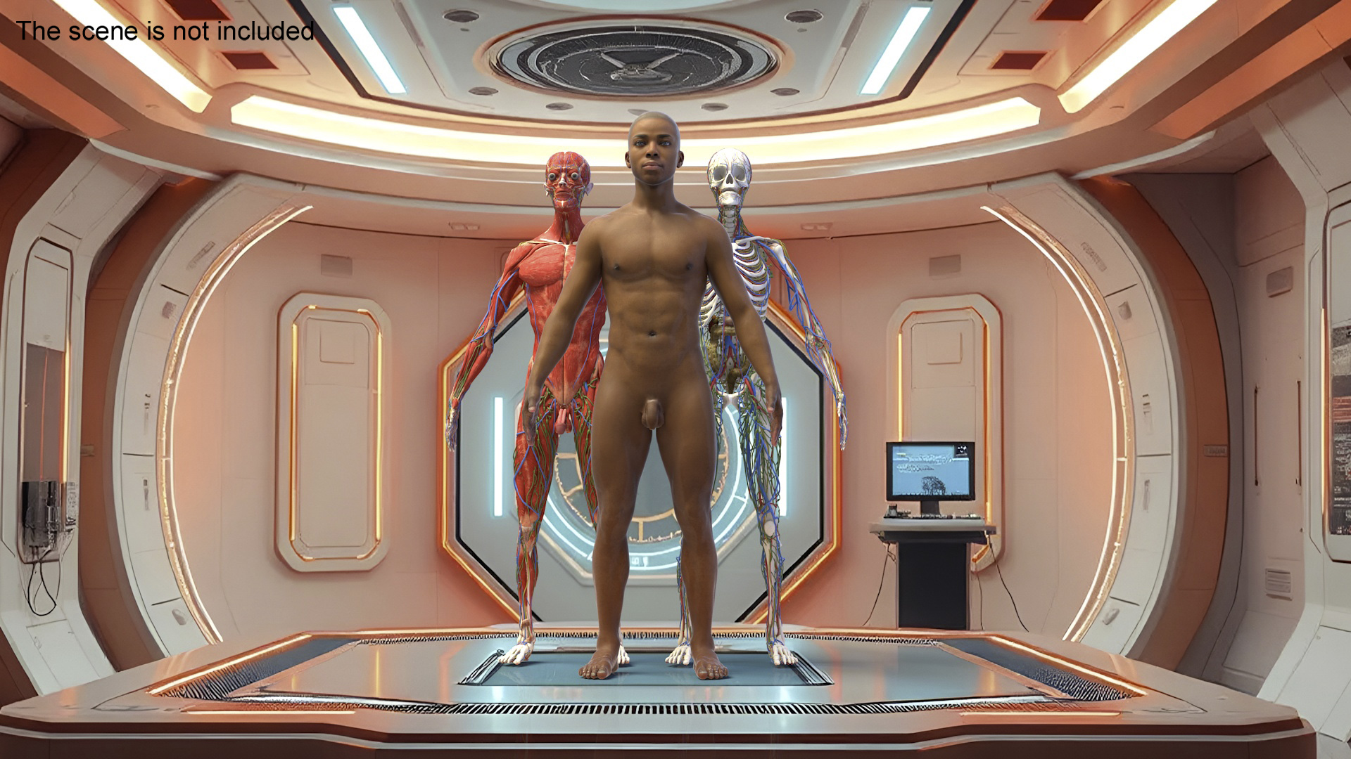 Realistic Male Full Body Anatomy 3D
