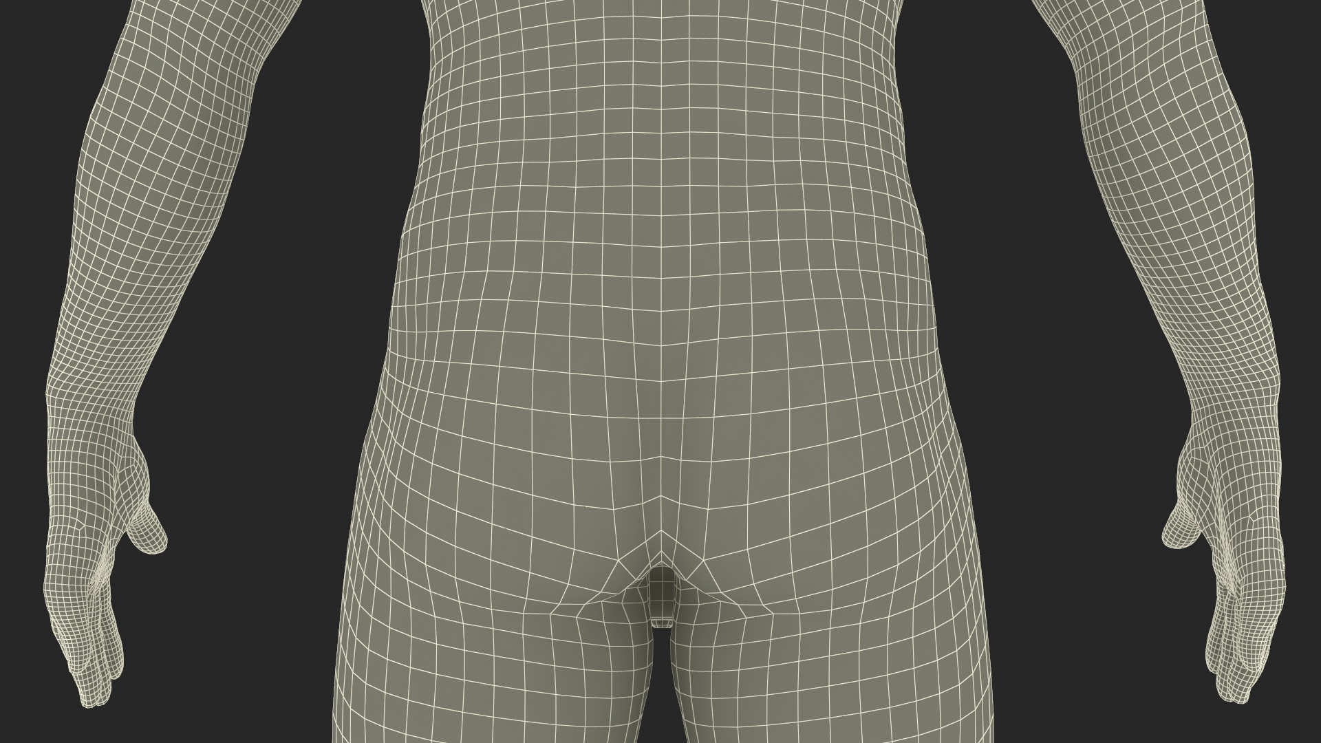 Realistic Male Full Body Anatomy 3D