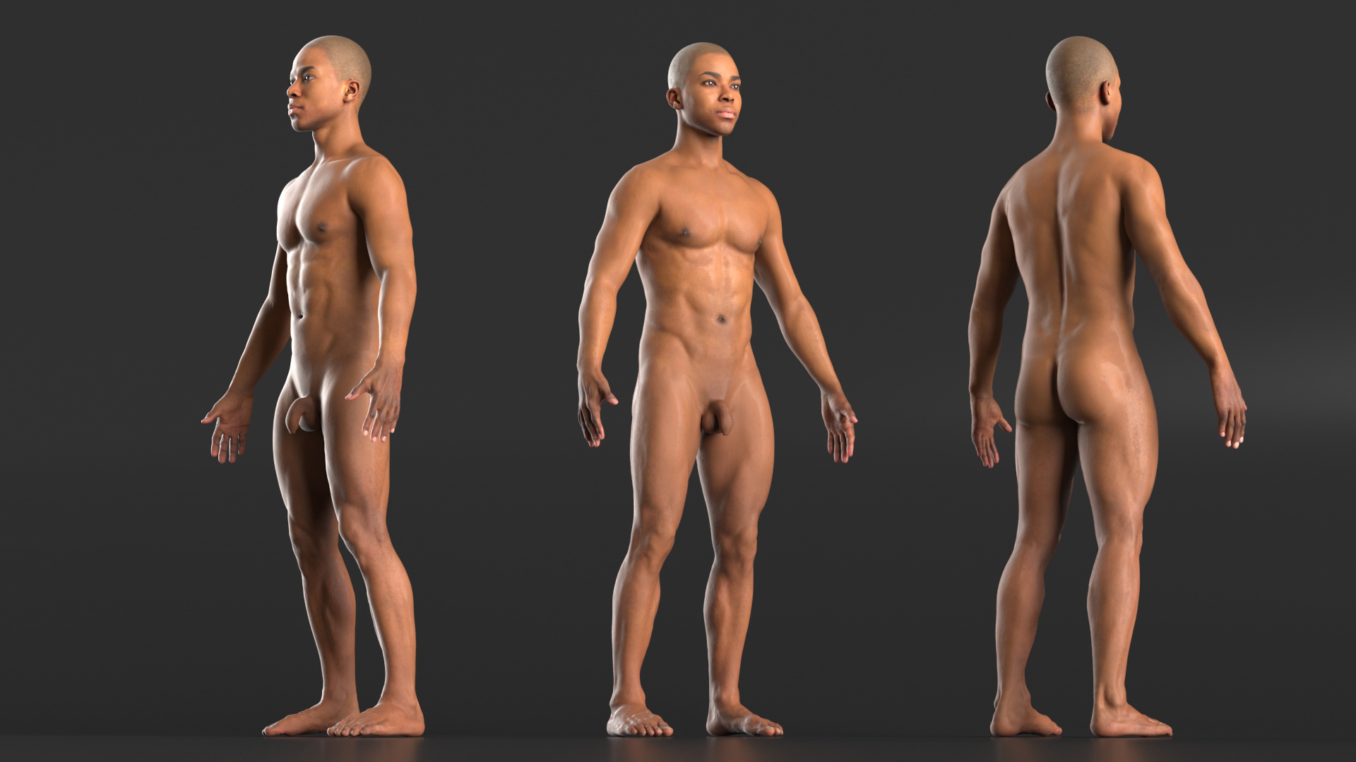 Realistic Male Full Body Anatomy 3D