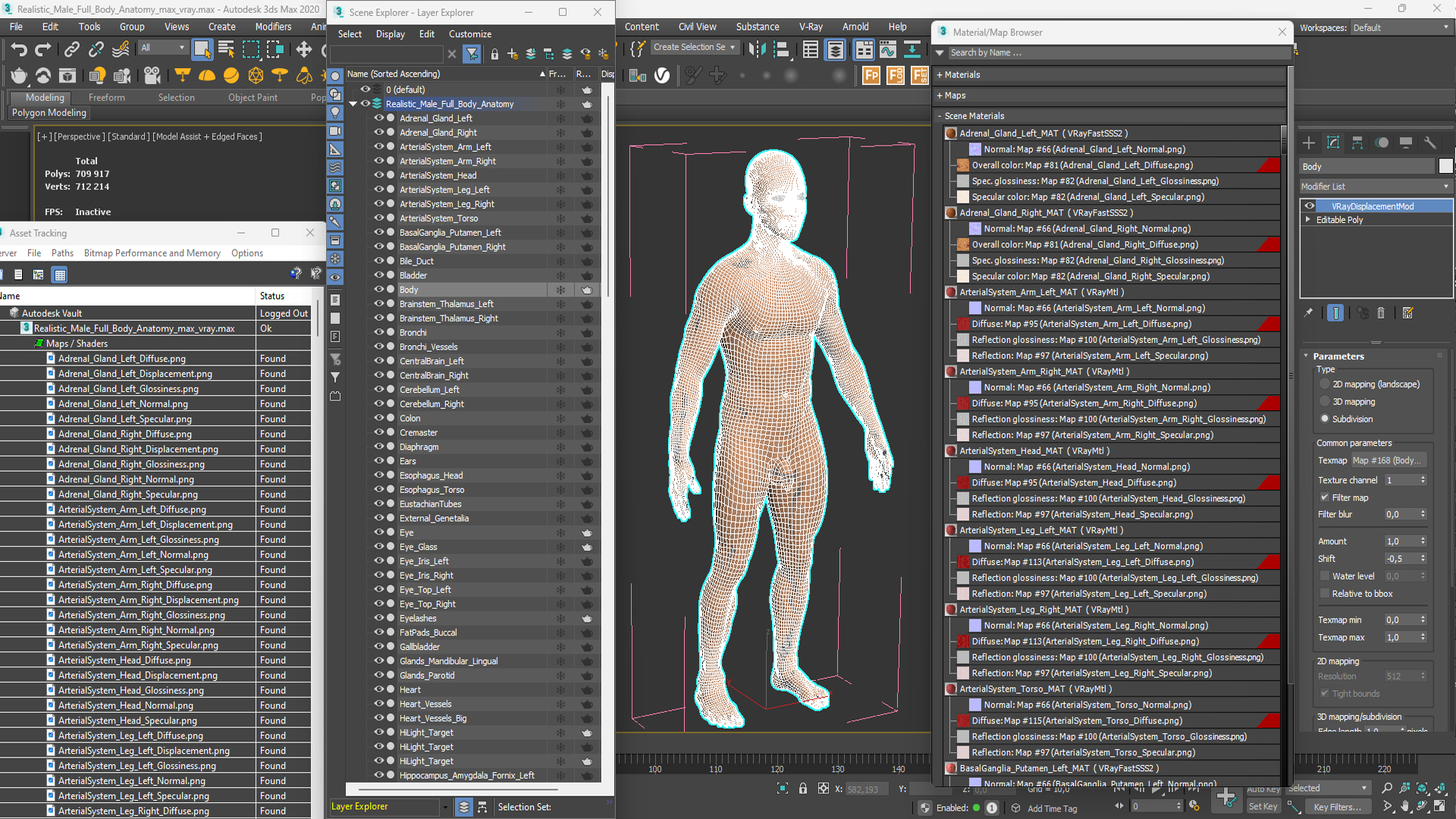 Realistic Male Full Body Anatomy 3D