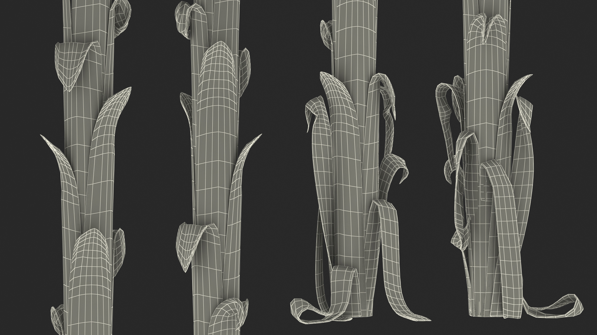 3D Banana Tree with Ripe Yellow Banana Cluster model