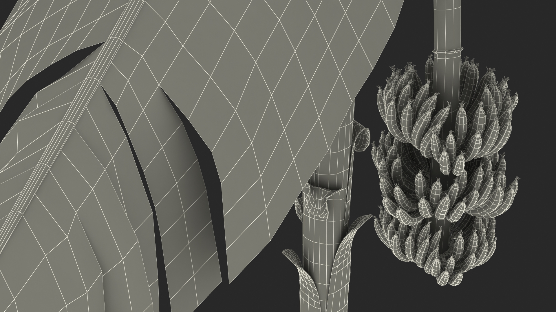 3D Banana Tree with Ripe Yellow Banana Cluster model