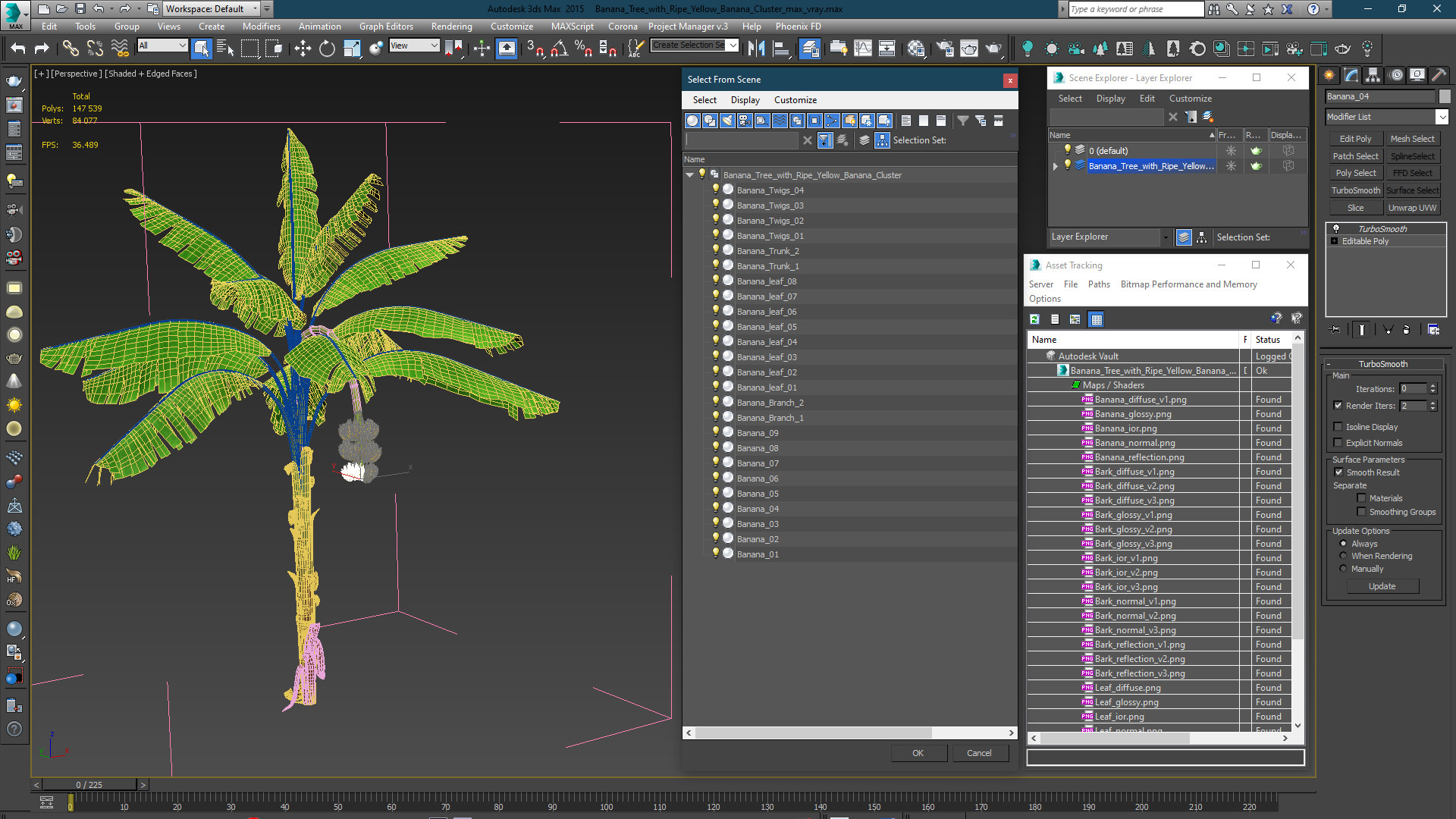 3D Banana Tree with Ripe Yellow Banana Cluster model