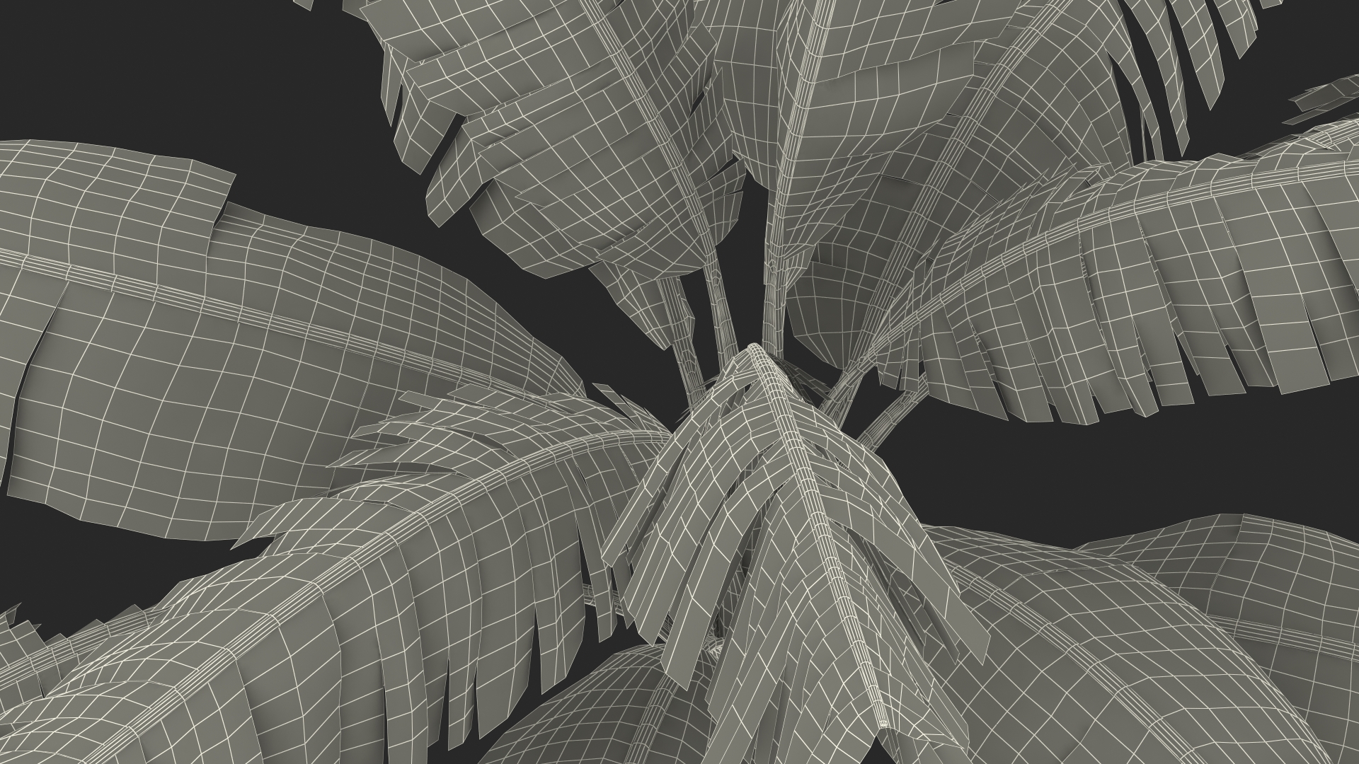 3D Banana Tree with Ripe Yellow Banana Cluster model