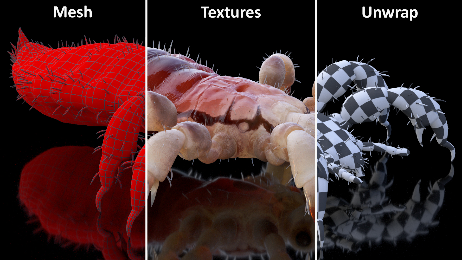 Phthiraptera with Blood Hiding Pose SSS 3D model