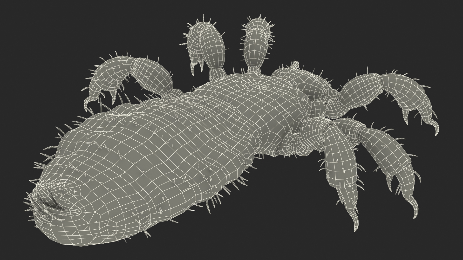 Phthiraptera with Blood Hiding Pose SSS 3D model