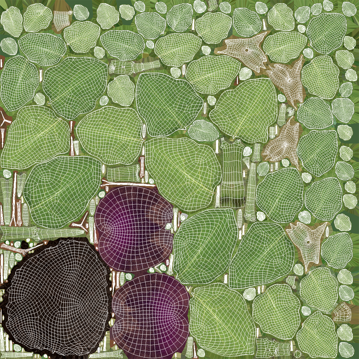 Eggplant Plant with Root Soil Purple, view 8