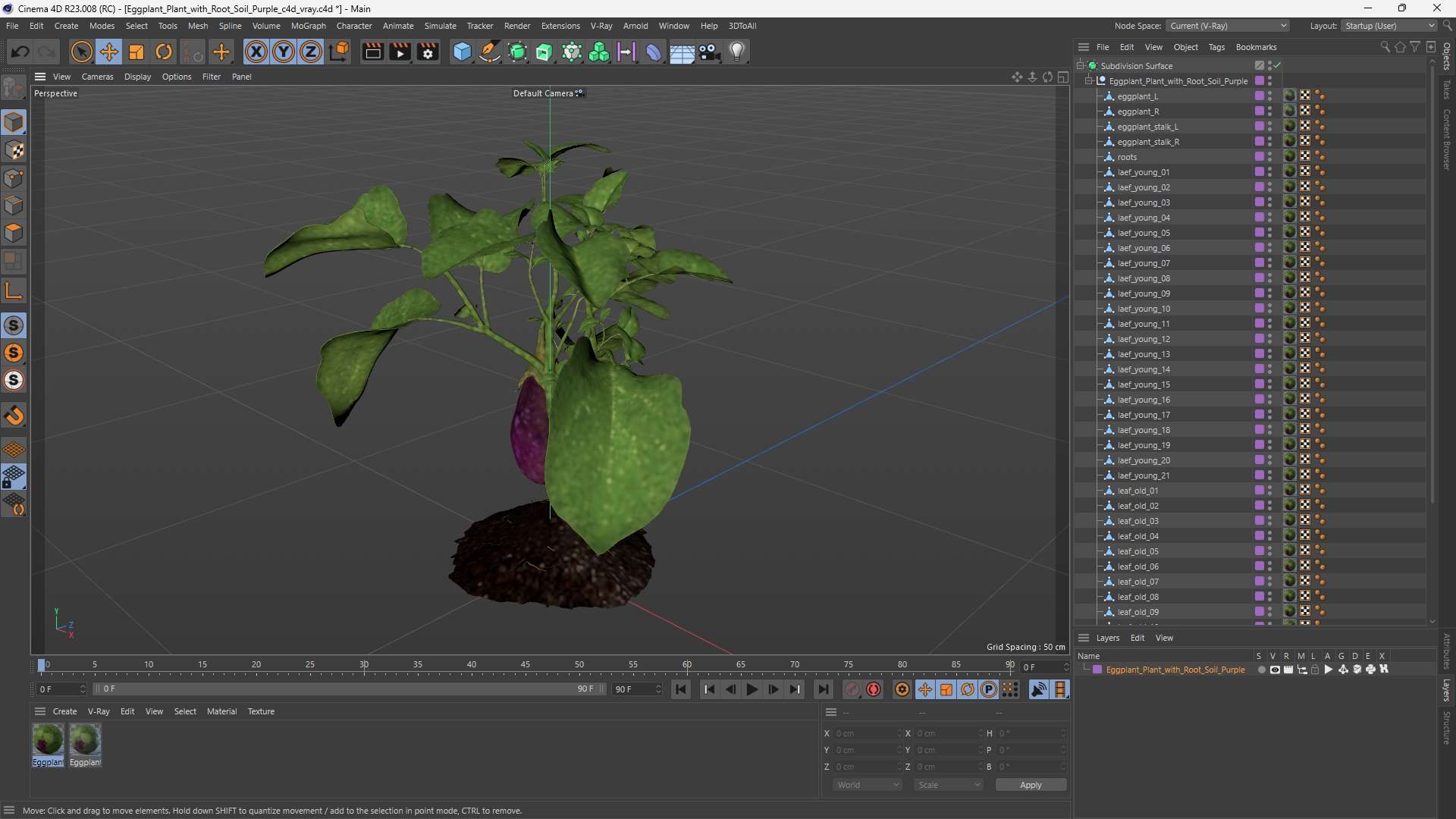 Eggplant Plant with Root Soil Purple, view 11