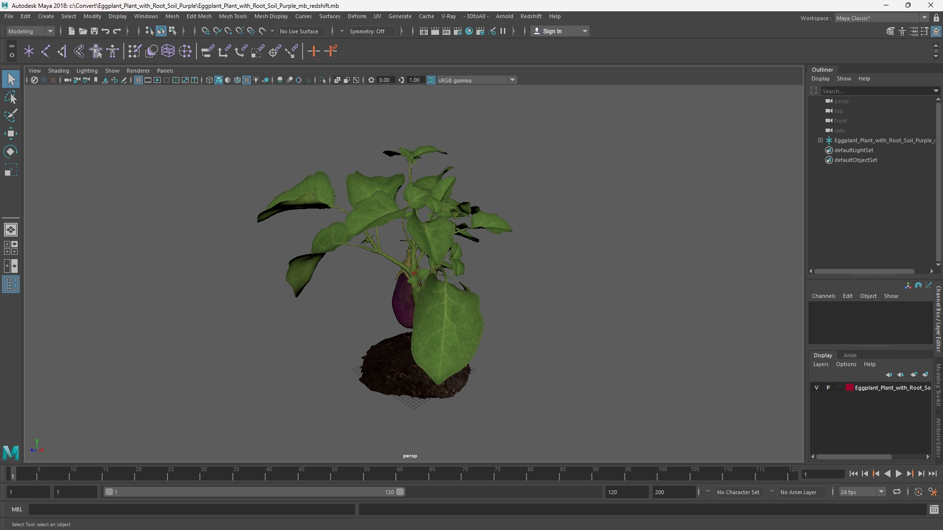 Eggplant Plant with Root Soil Purple, view 10