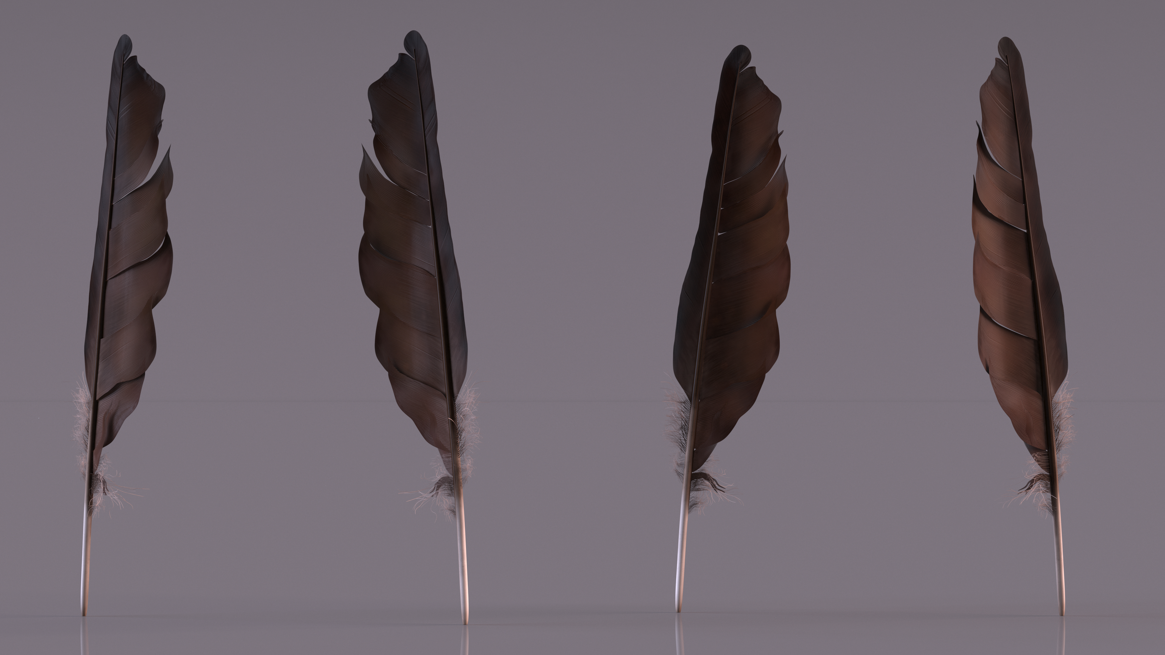 Dark Bird Feather 3D